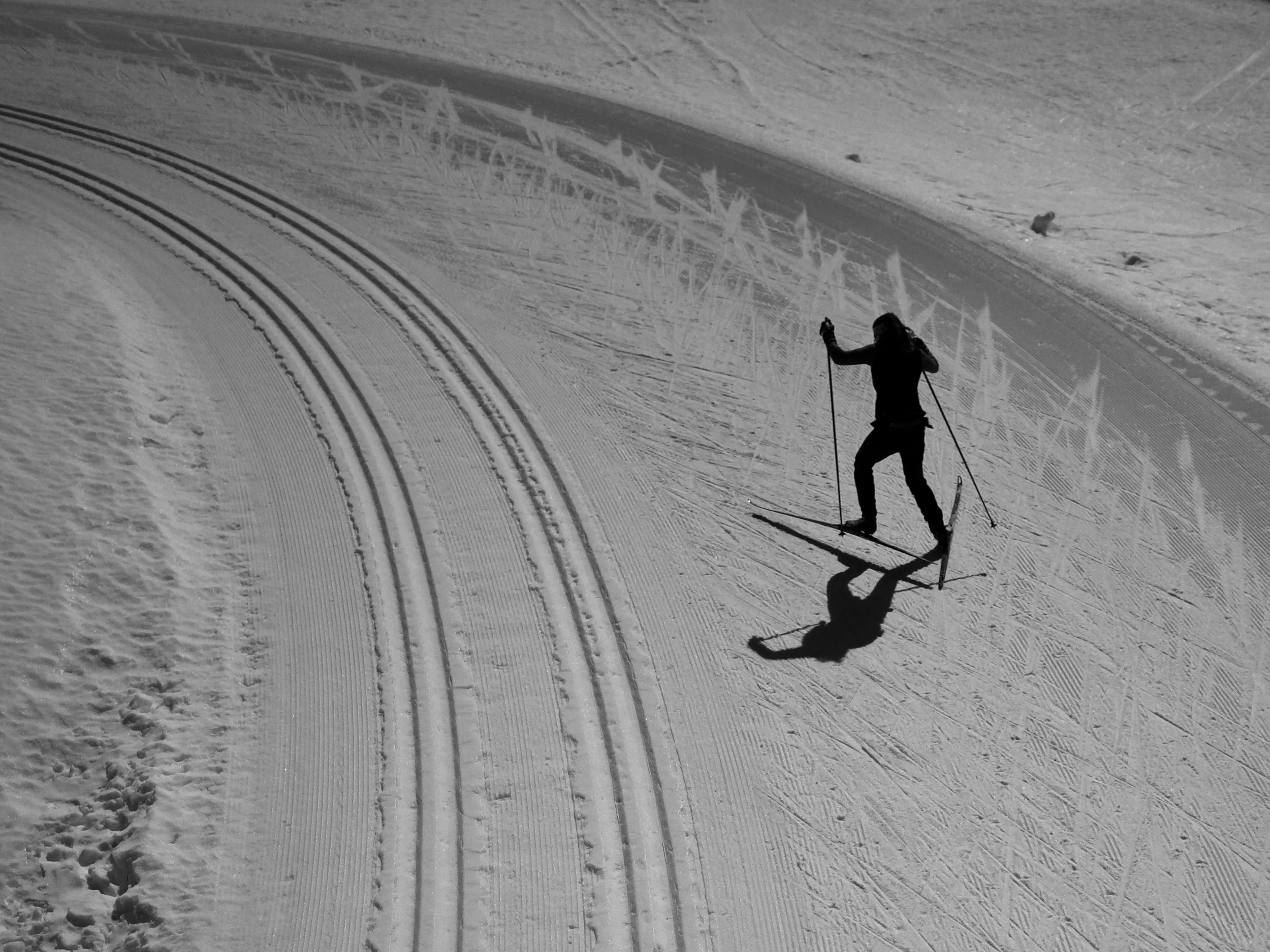 GET ONTO the white powder