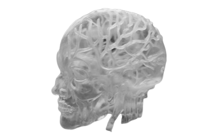 FAST GAME- fast mind
