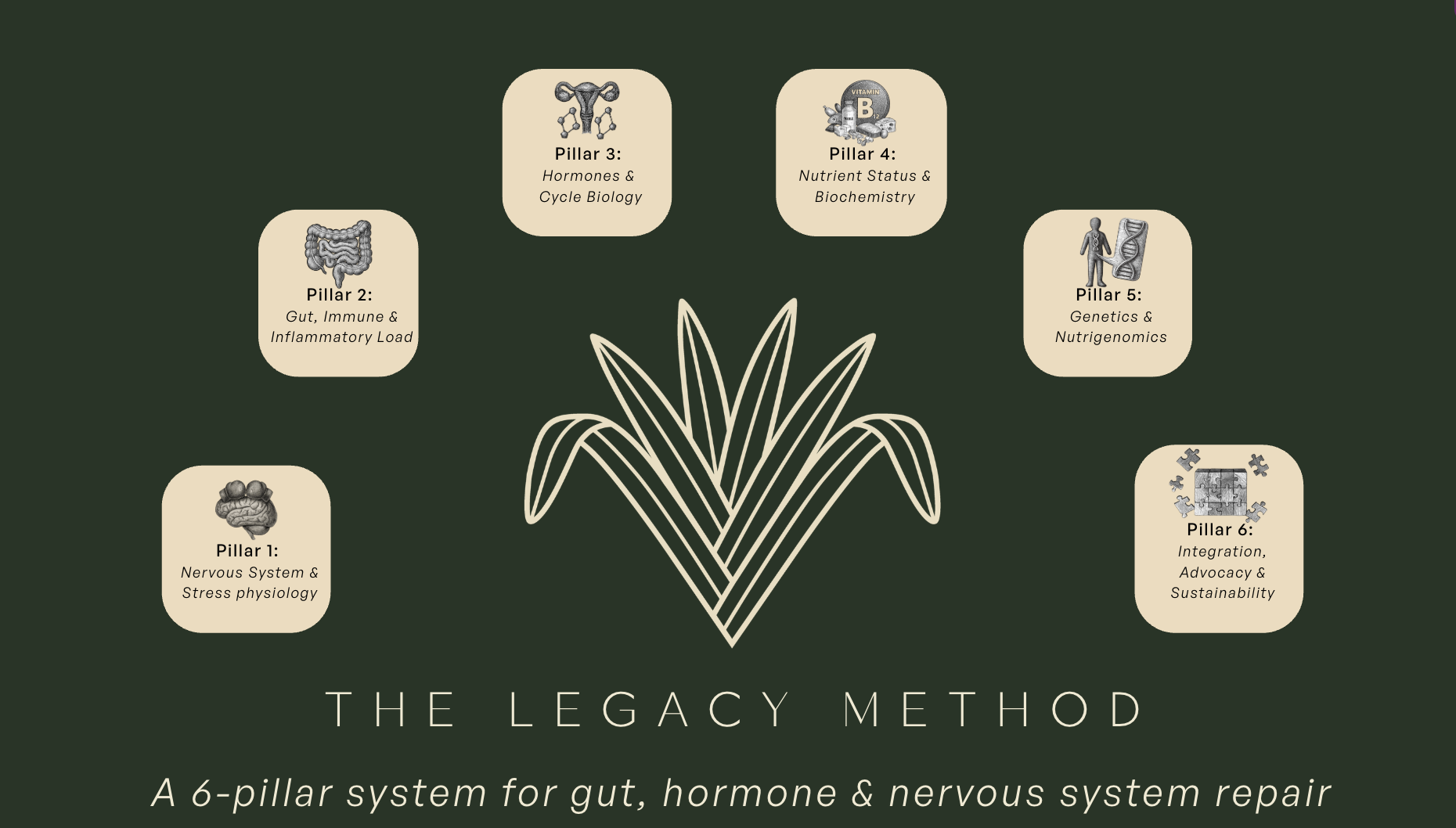 Diagram of six pillars representing a system for gut, hormone, and nervous system repair, with icons and labels for each pillar.