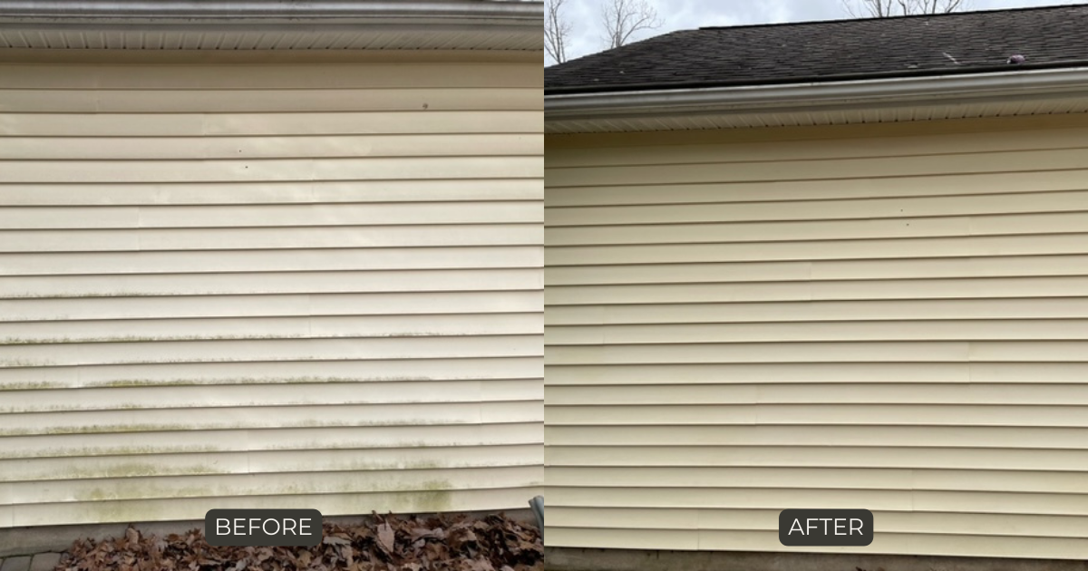 Ace King Gallery (17).png