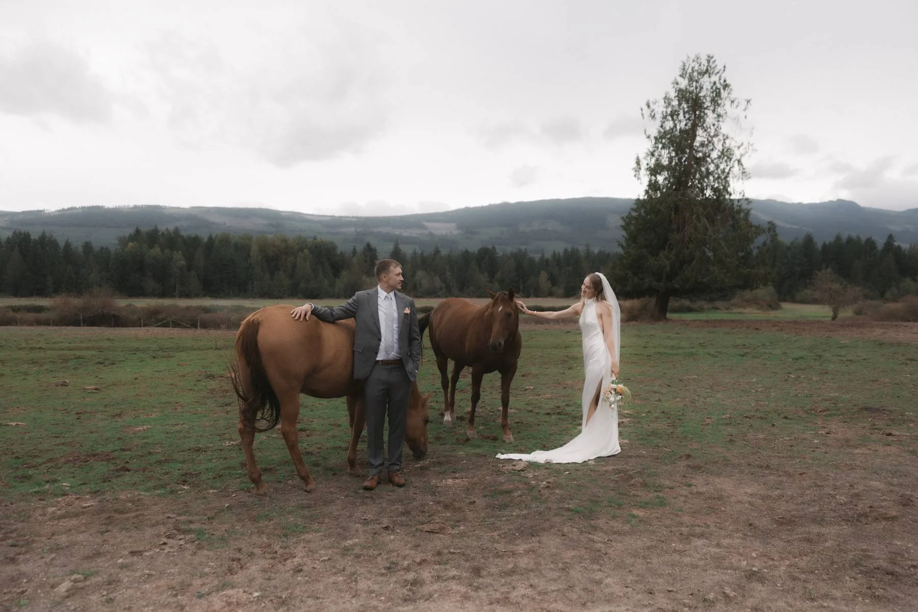 Wedding photo of bride and groom with horses on farmland near Parksville with Mount Arrowsmith in the background