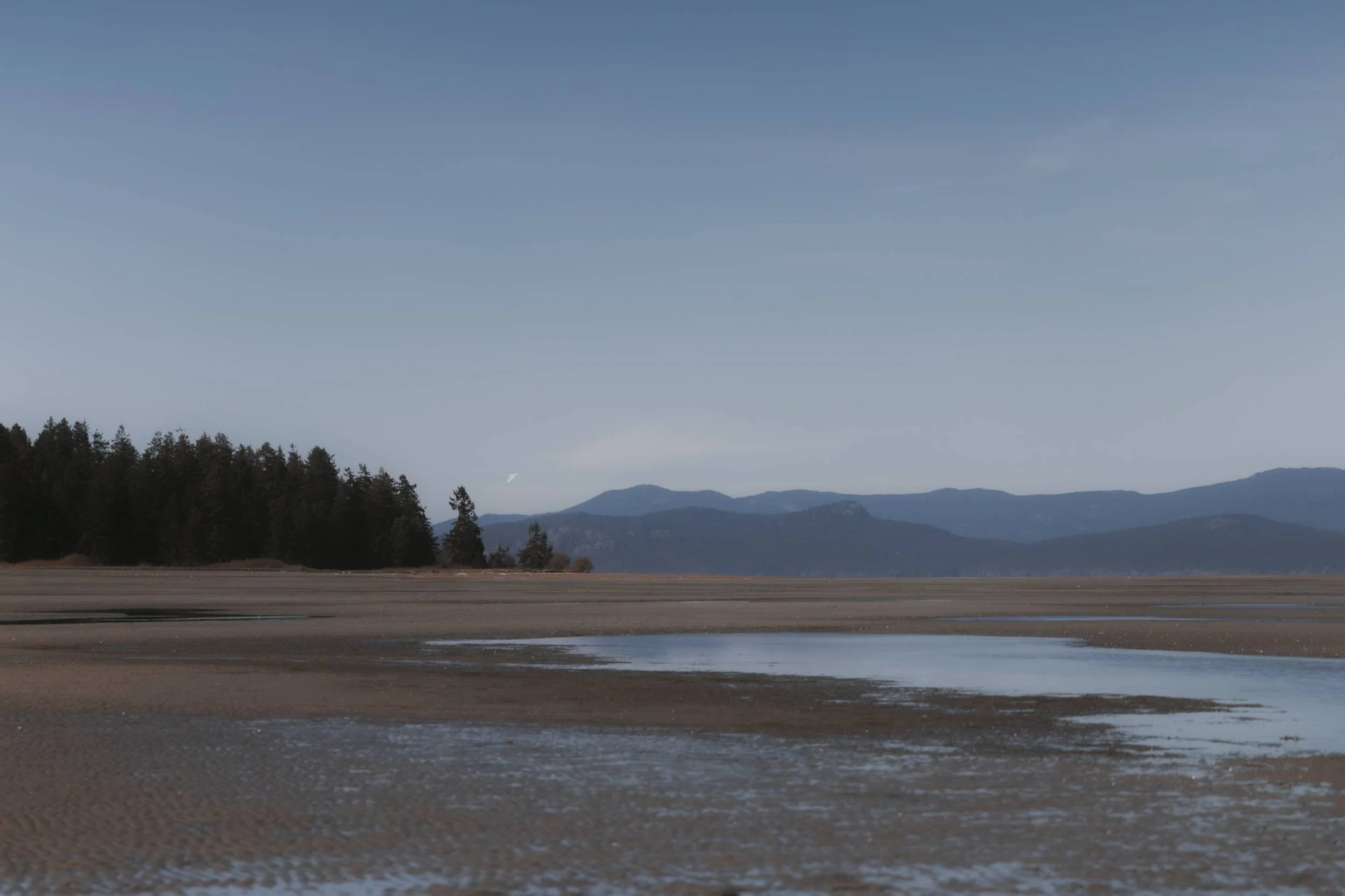 Wide low-tide shoreline and mountain view from the beach near Tigh-Na-Mara in Parksville