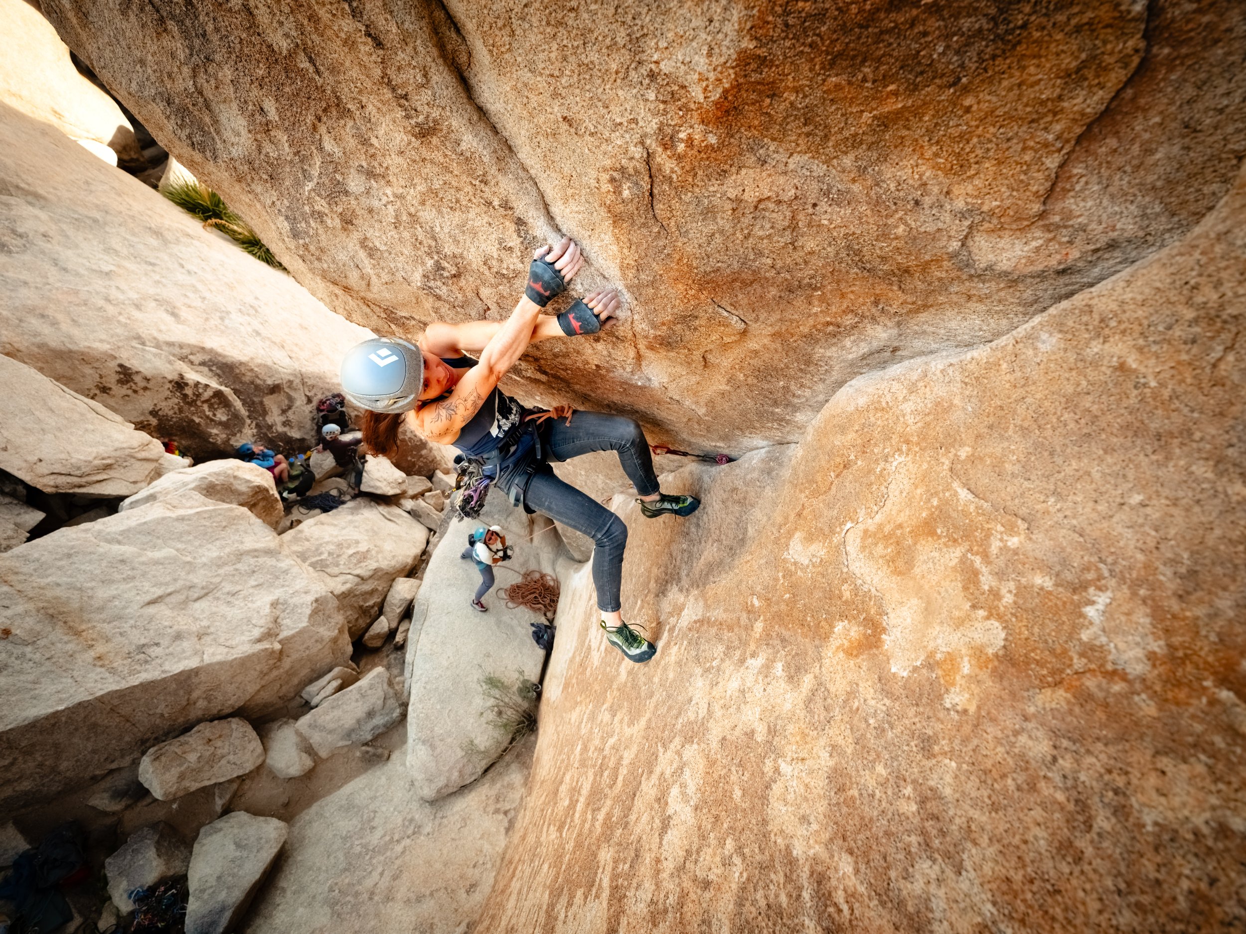 DMJS6113-Edit-2.jpg