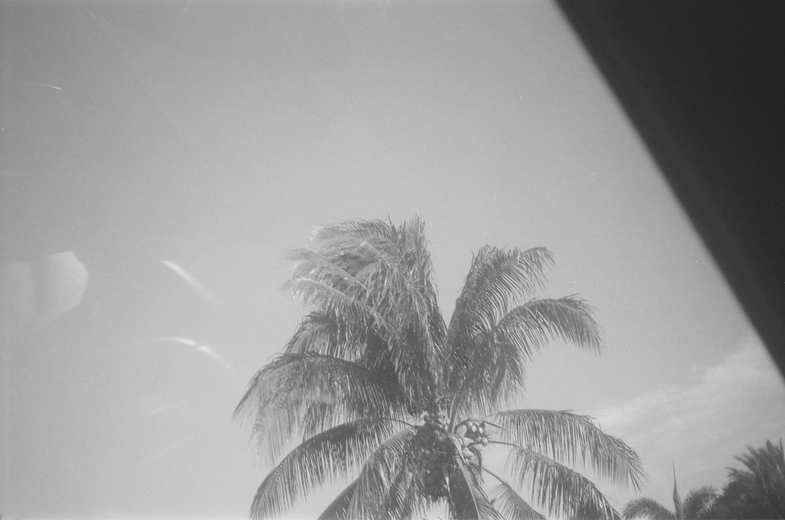 000045030003.jpg