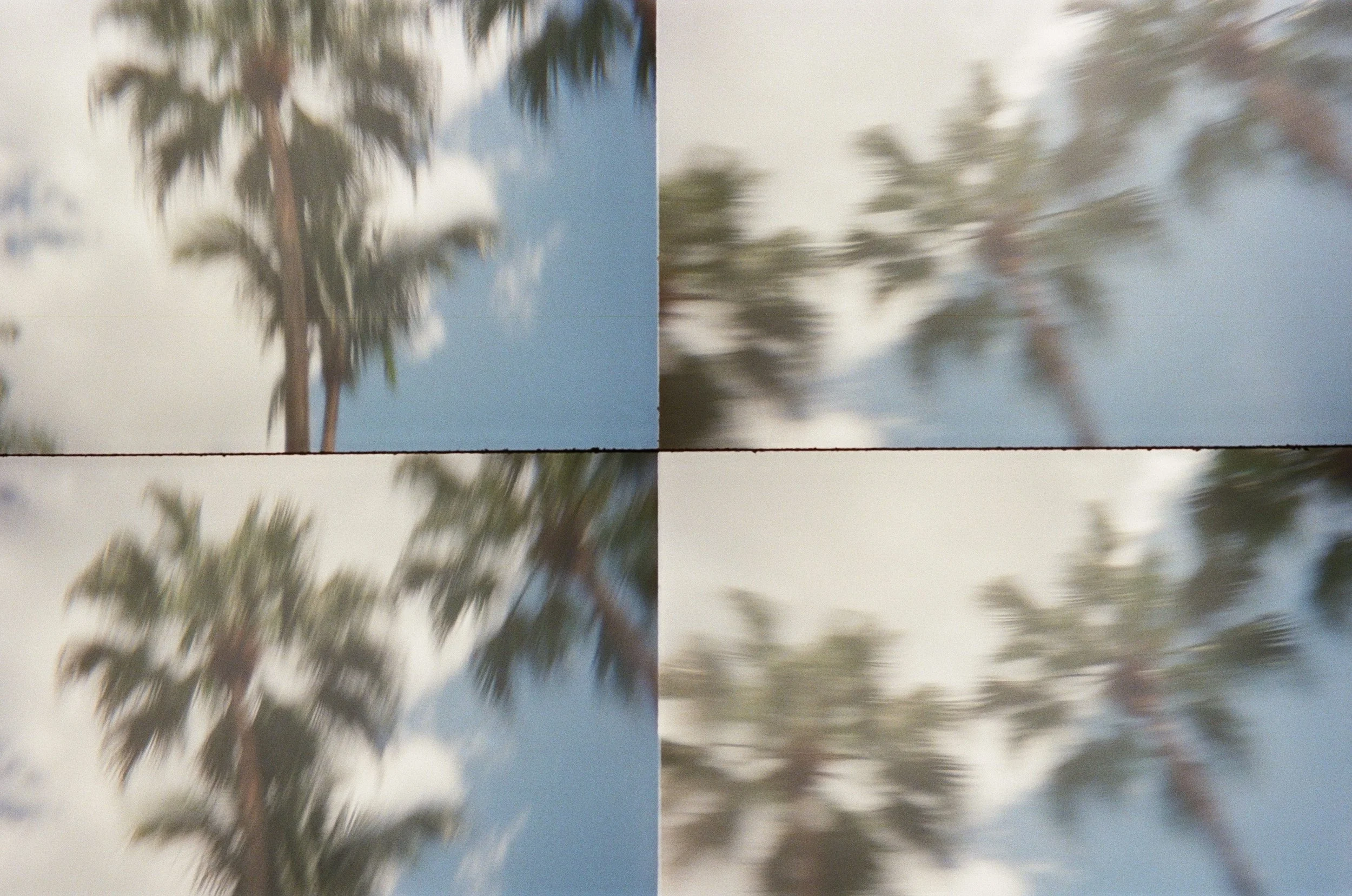 000041590018.jpg