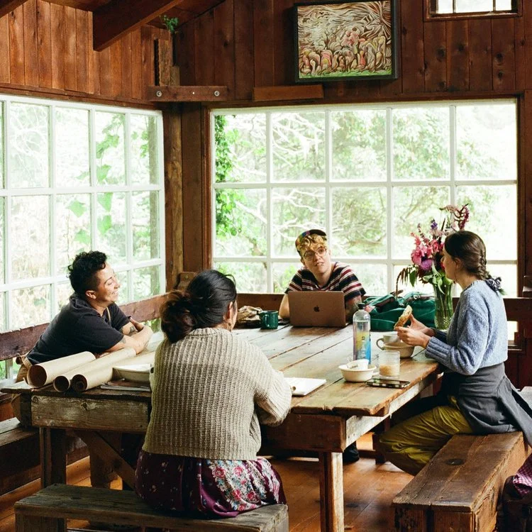 newsletter 1 image.jpg