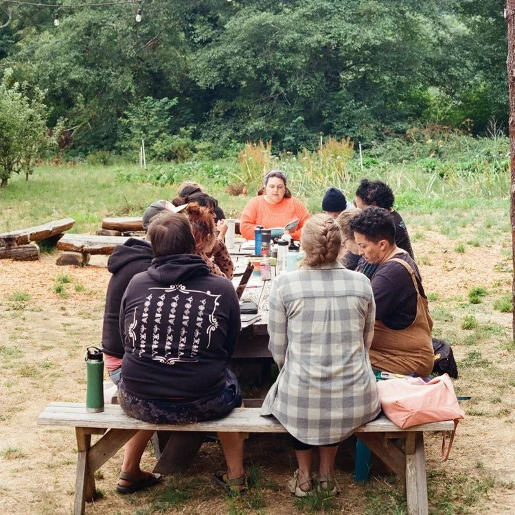 newsletter 1 imge 2.jpg