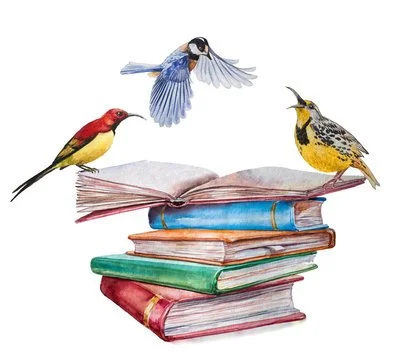 Part One: Blue Birds, Red Birds, and Yellow Birds