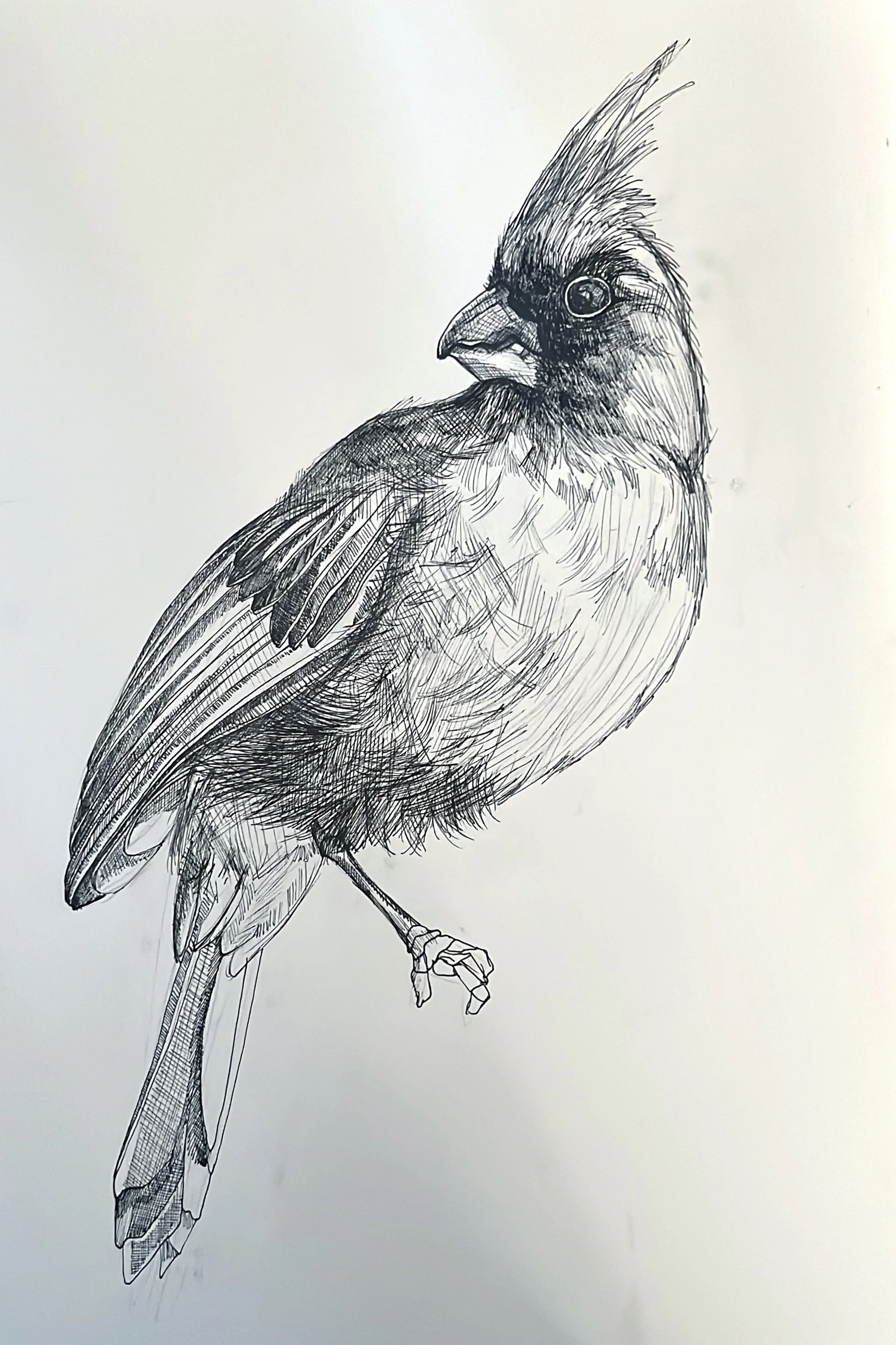 Alex Beswetherick - sketches -1.jpeg