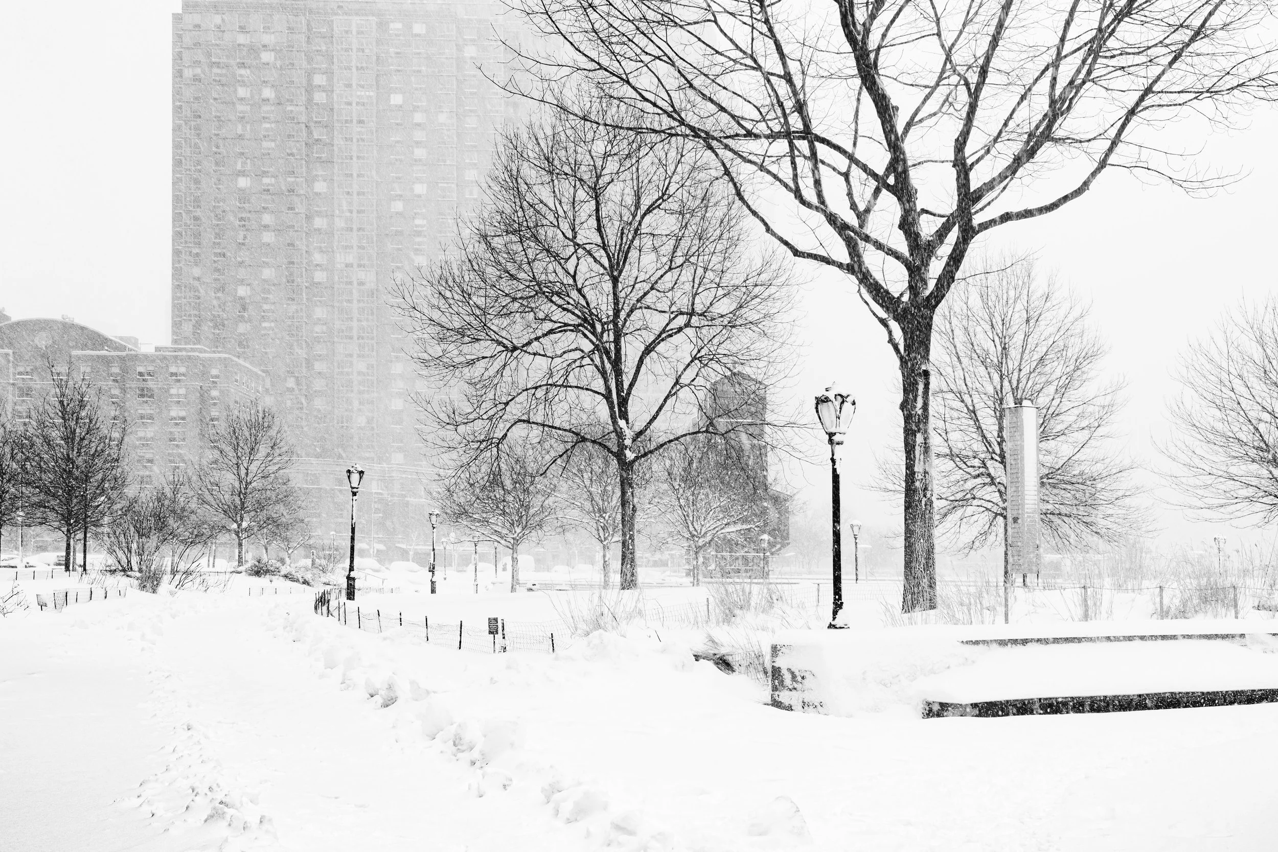 LIC in the snow, Feb 2026-9.jpg