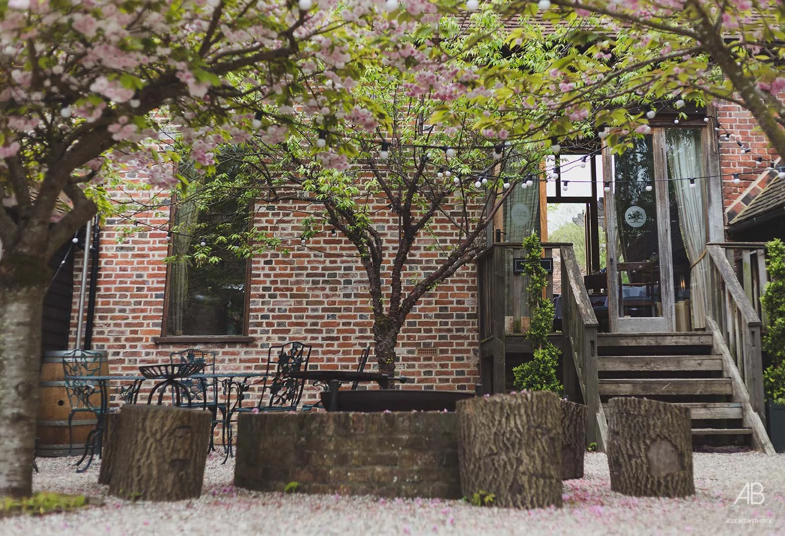 Stephen & Margo-4.jpg