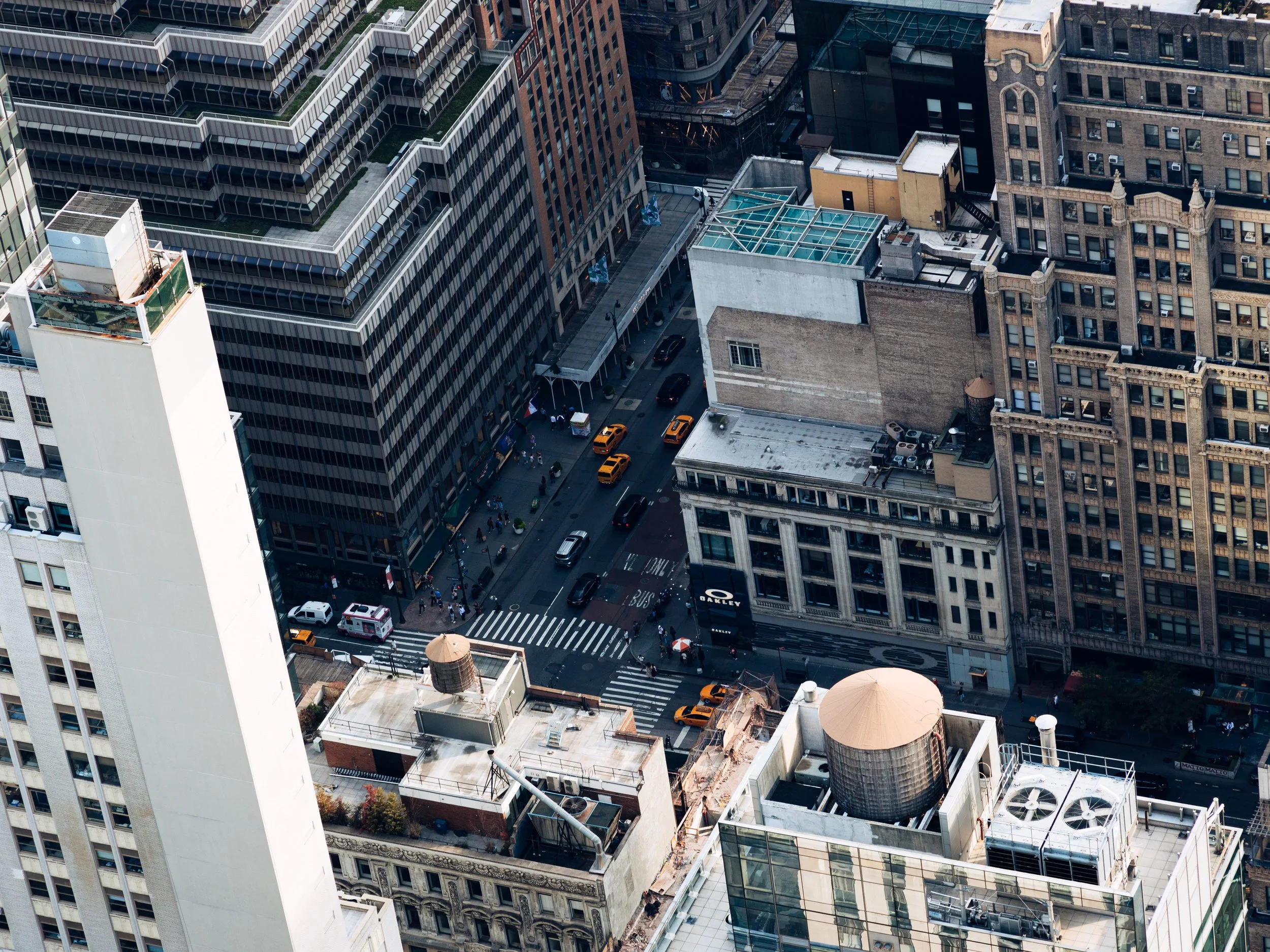 NYC Rat Race- DIG-1.jpg