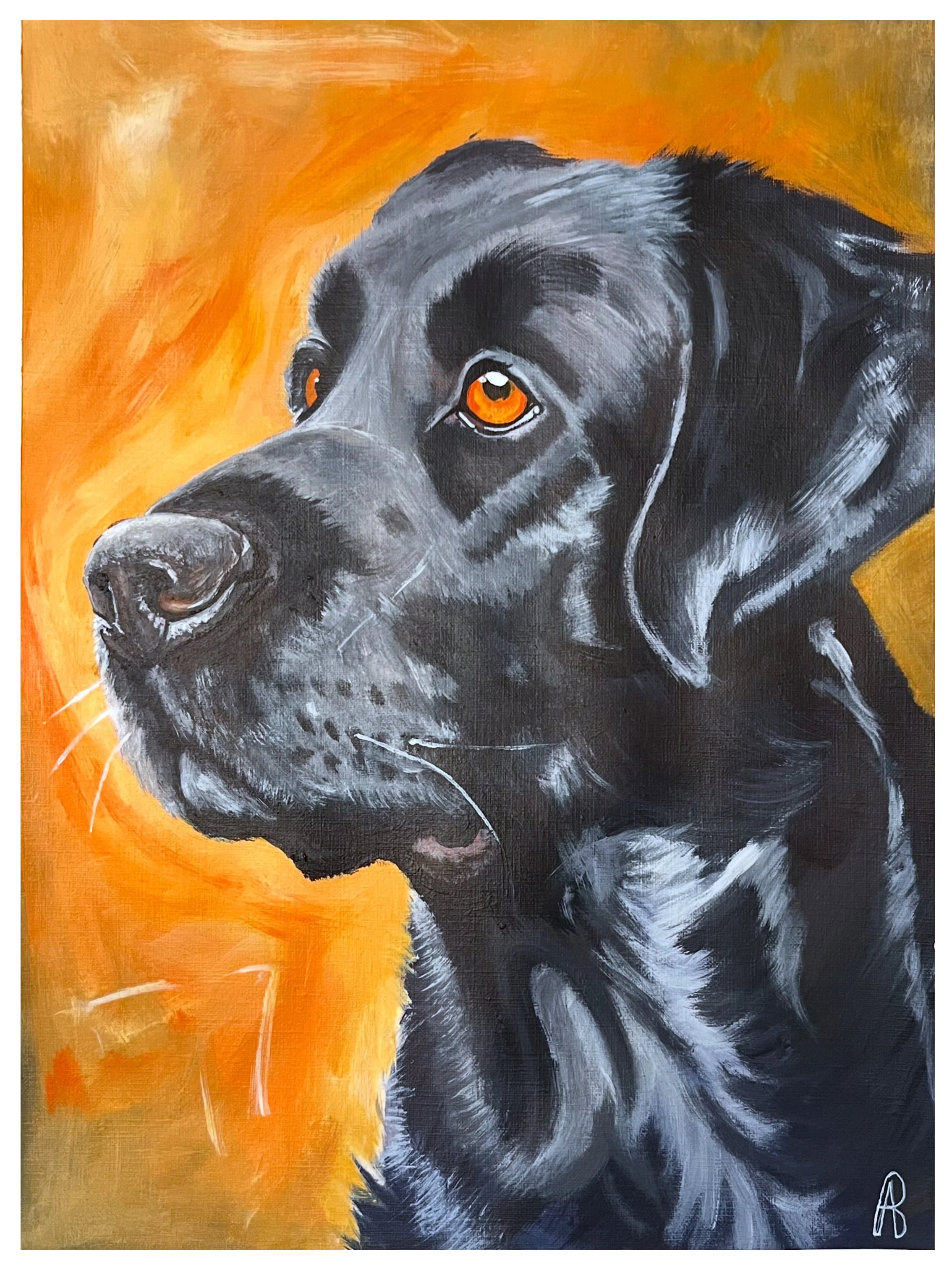 Black-Lab.jpg