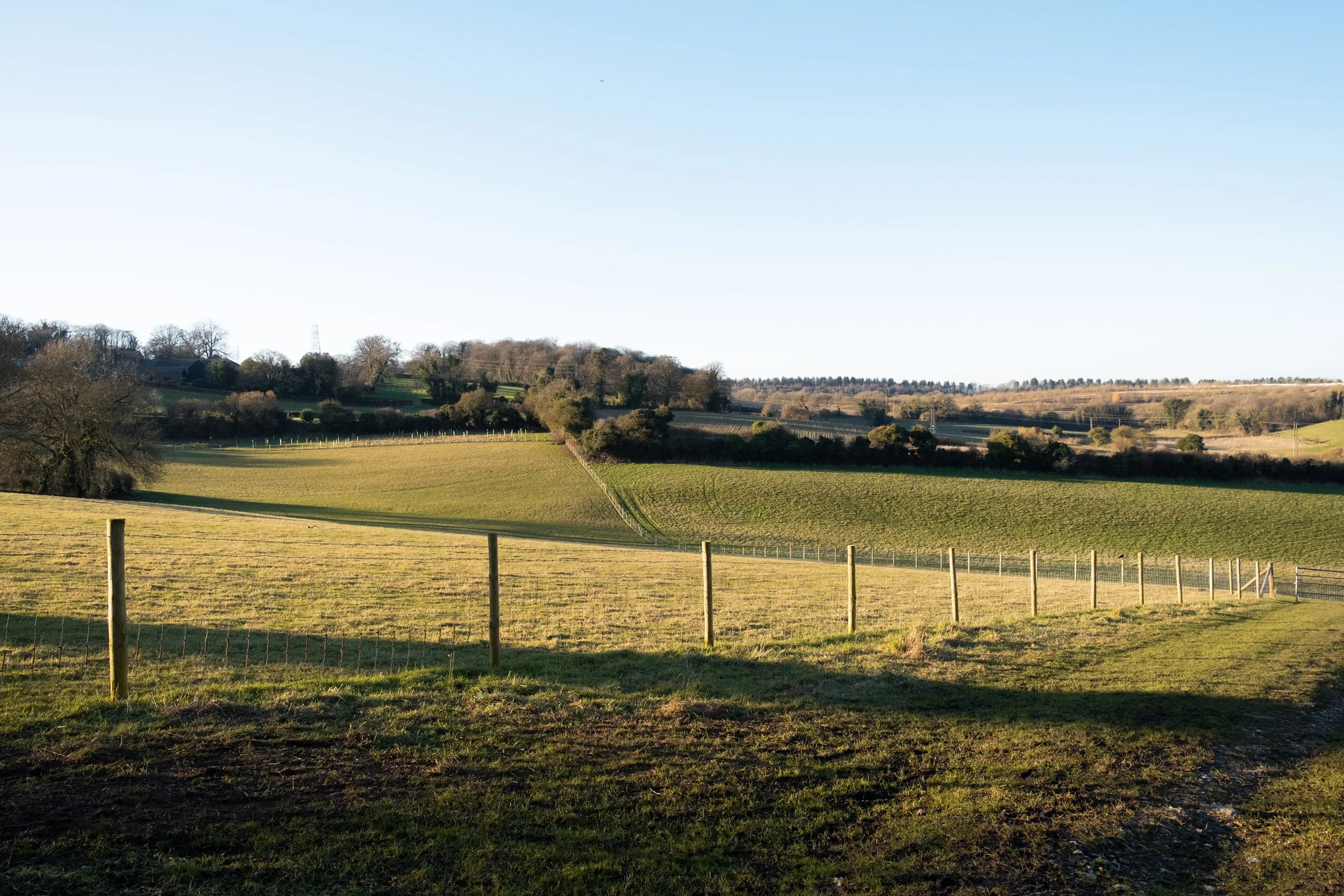 Dunstable Downs March 2025-1.jpg