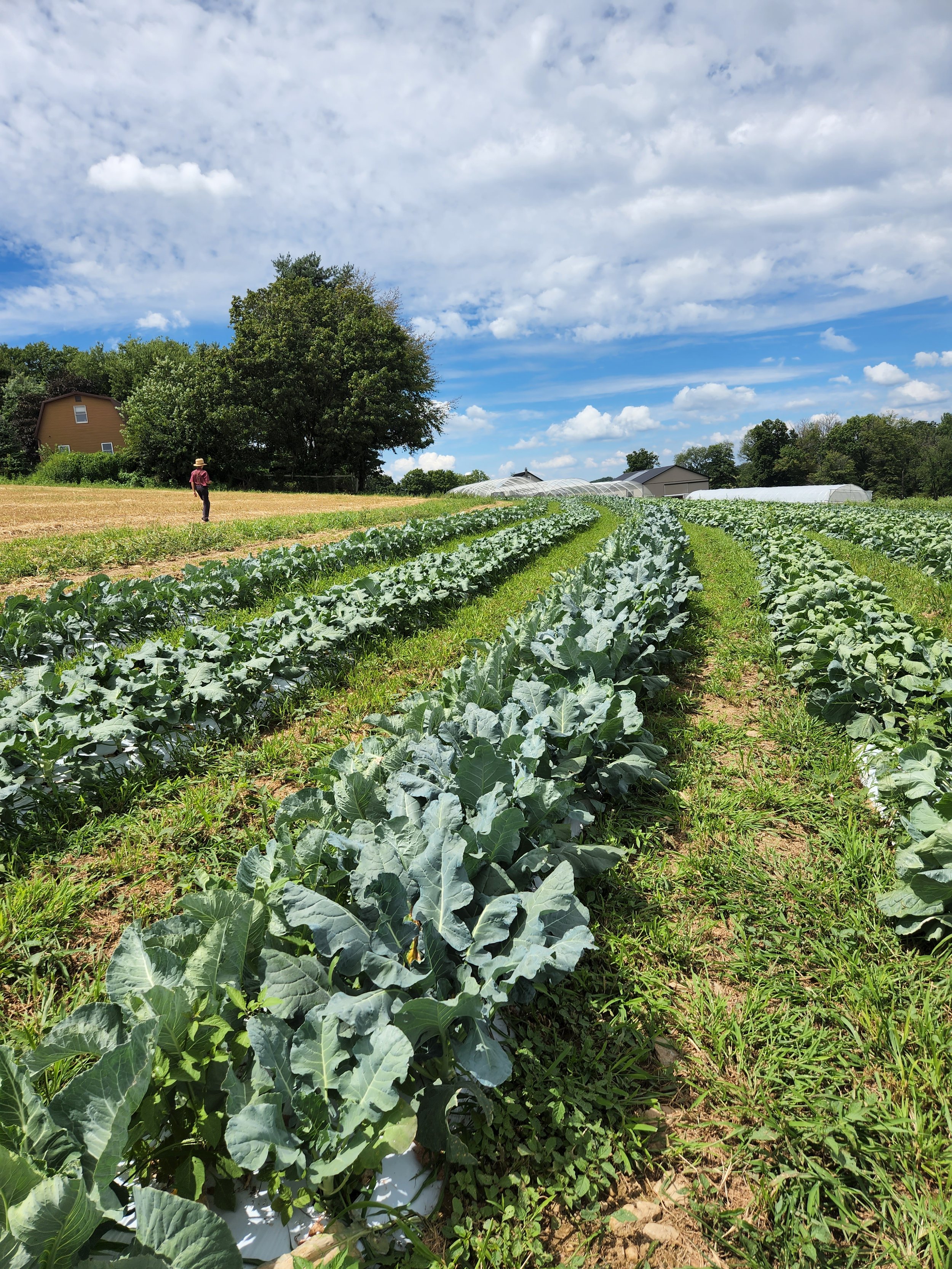 Honey Brook Harvest Collective