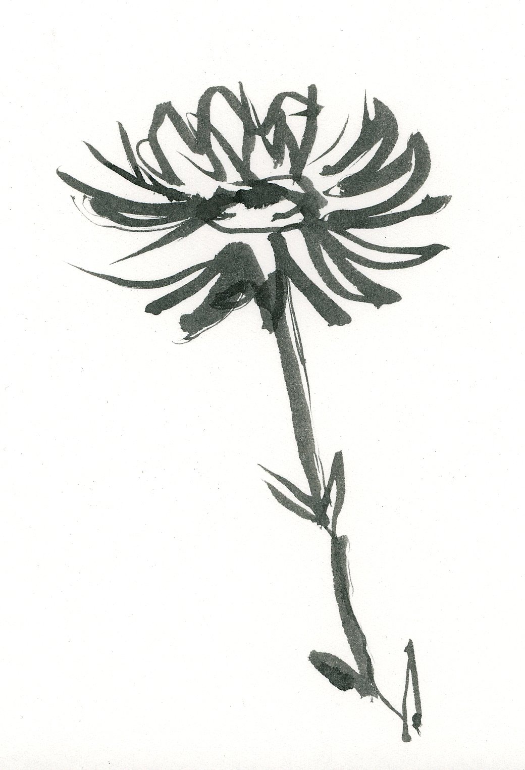 Ink Flower.jpg