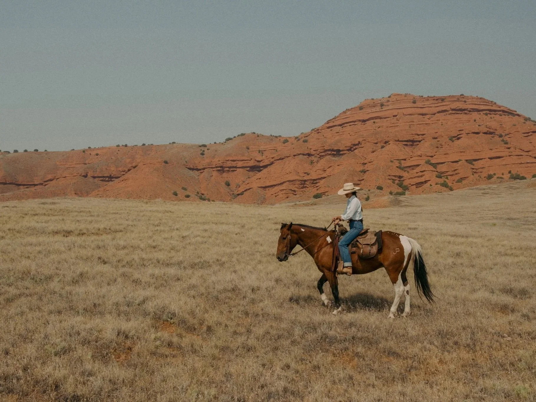 260803_RANCHLANDS_1440.jpg