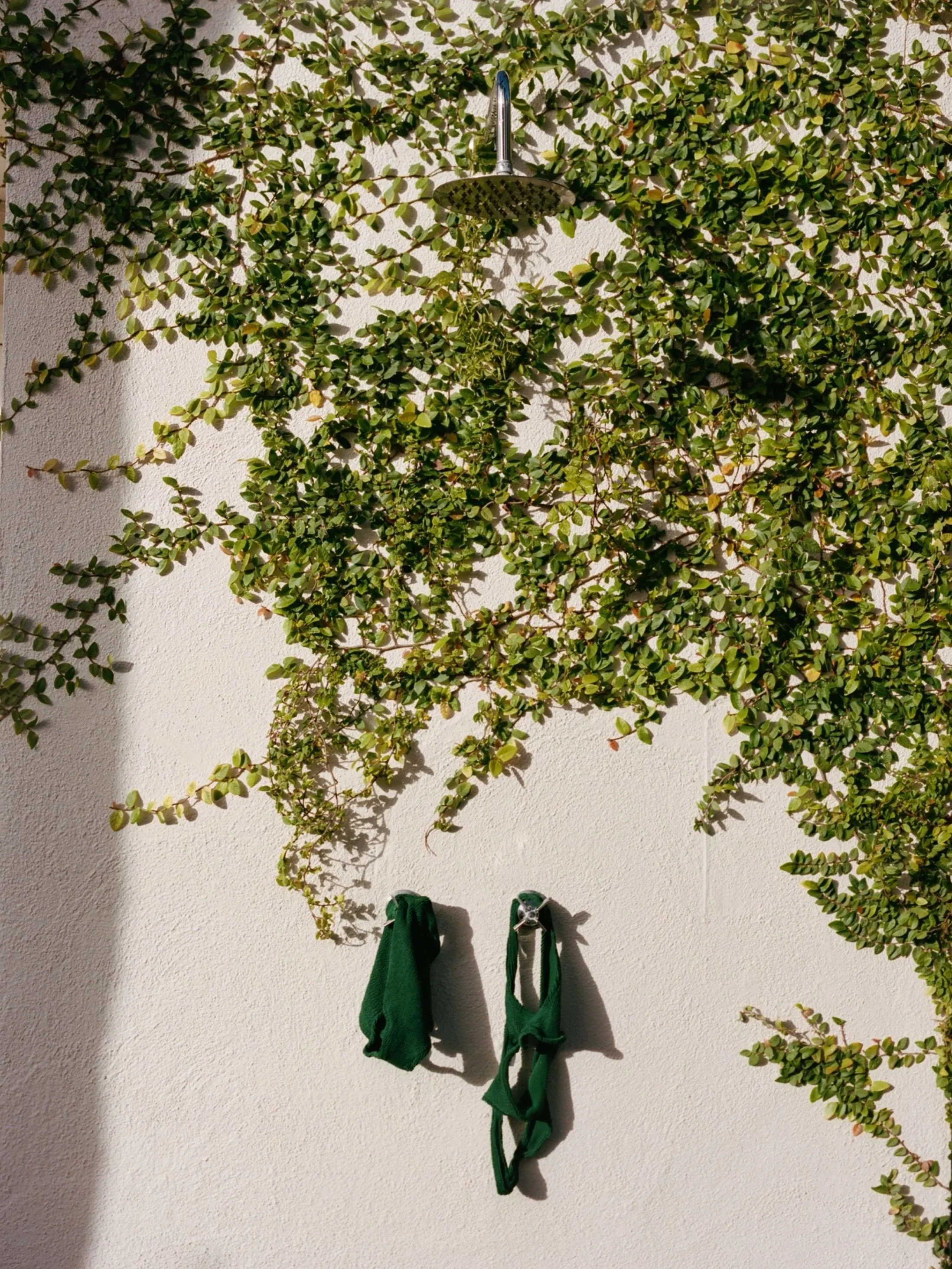 230119_OJAI_CAPRI_R167_0003.jpg