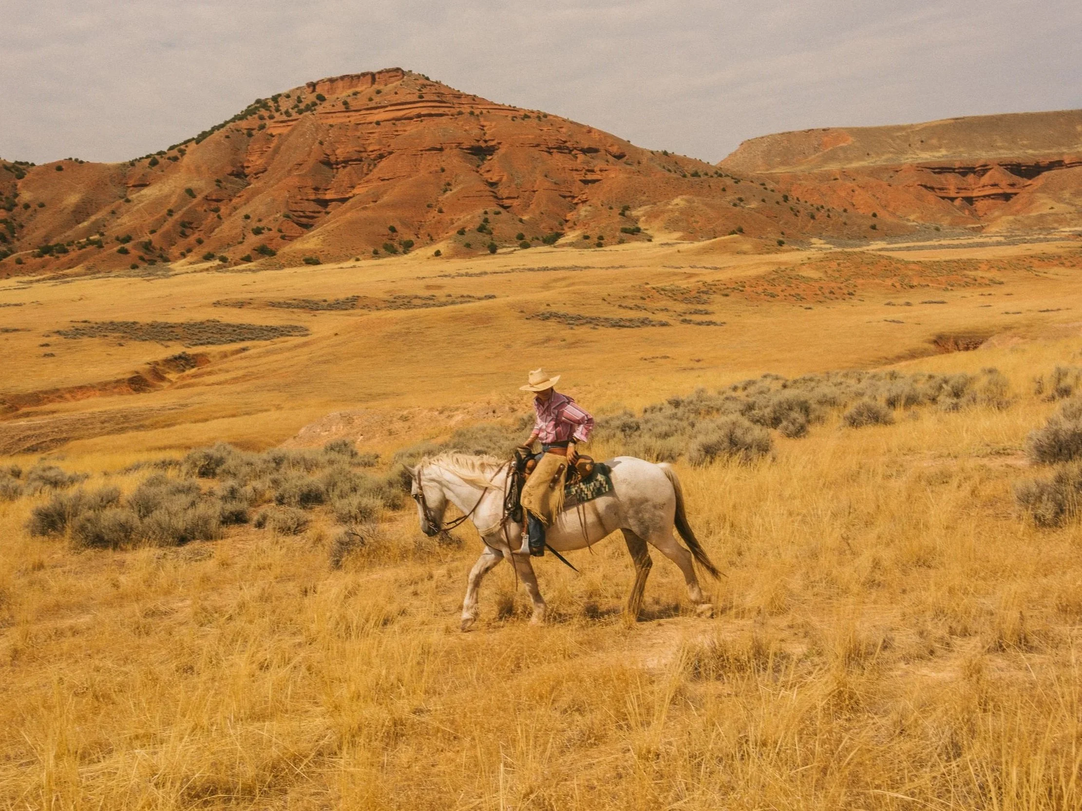 240812_RANCHLANDS_103.jpg