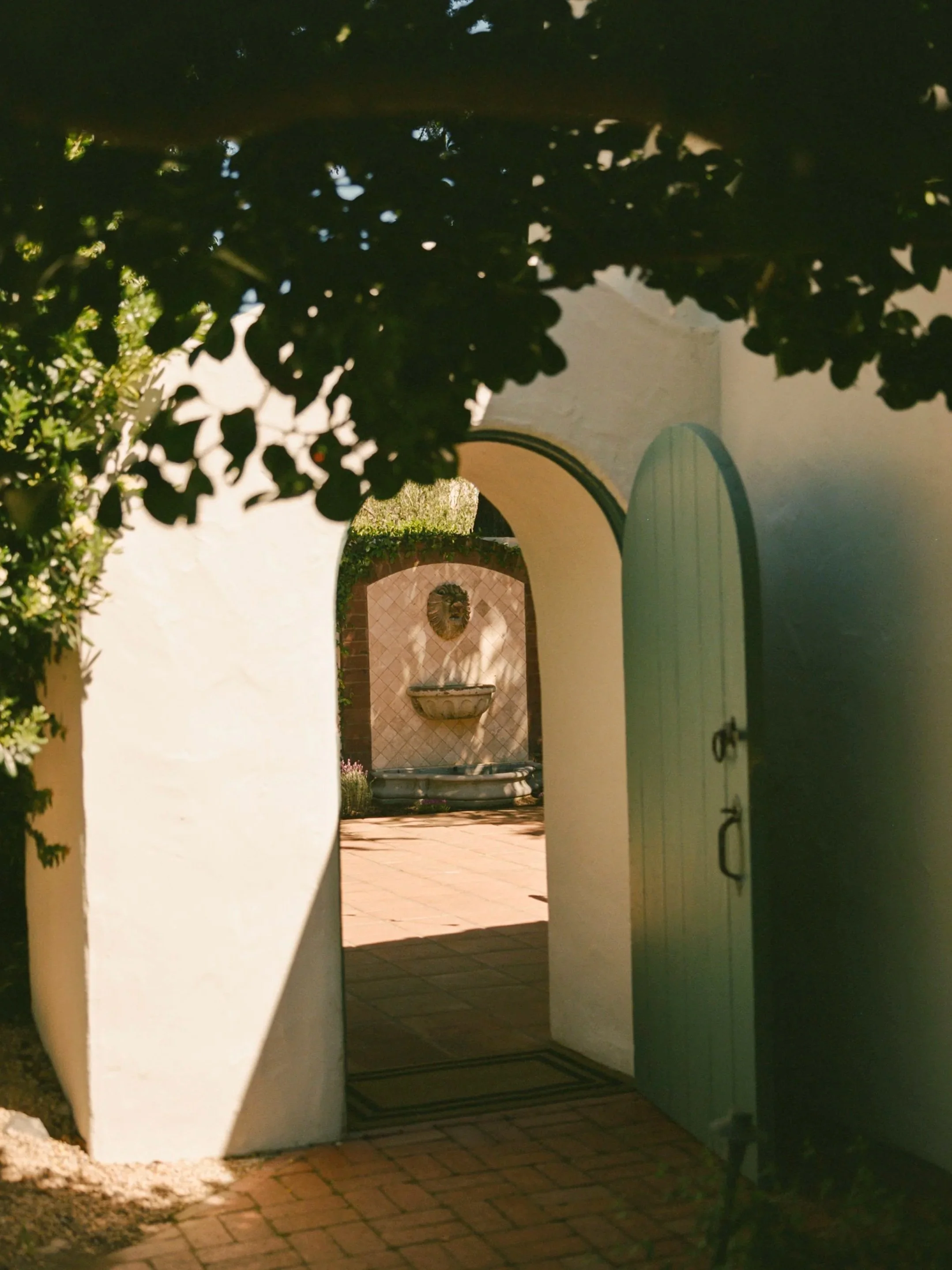 240415_ELENCANTO_R389_12.jpg