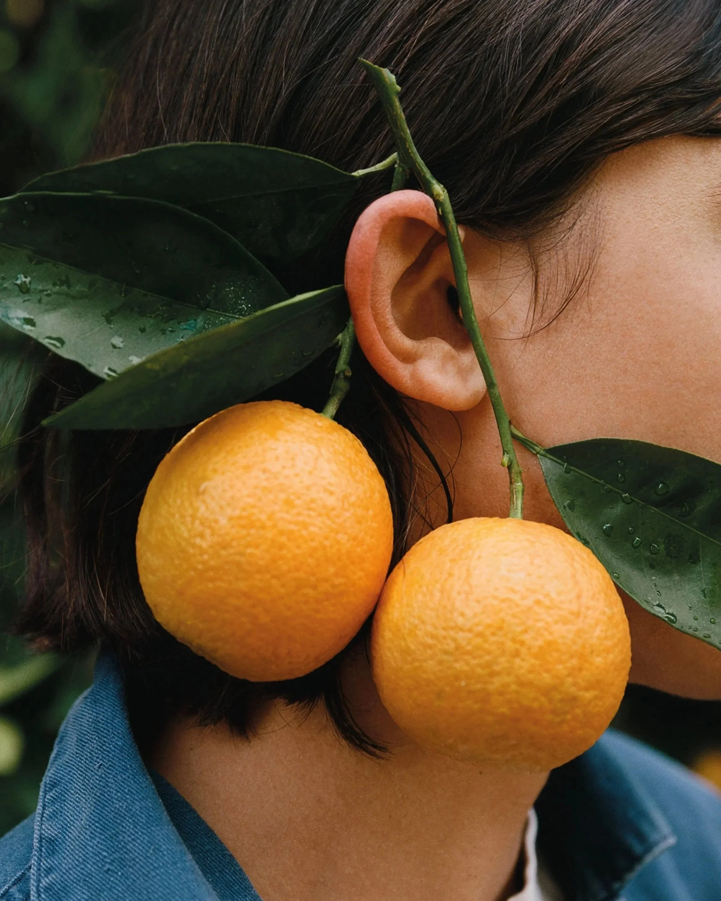 230226_BLUMENHAUS_ORANGES_R214_0005_CMYK.jpg