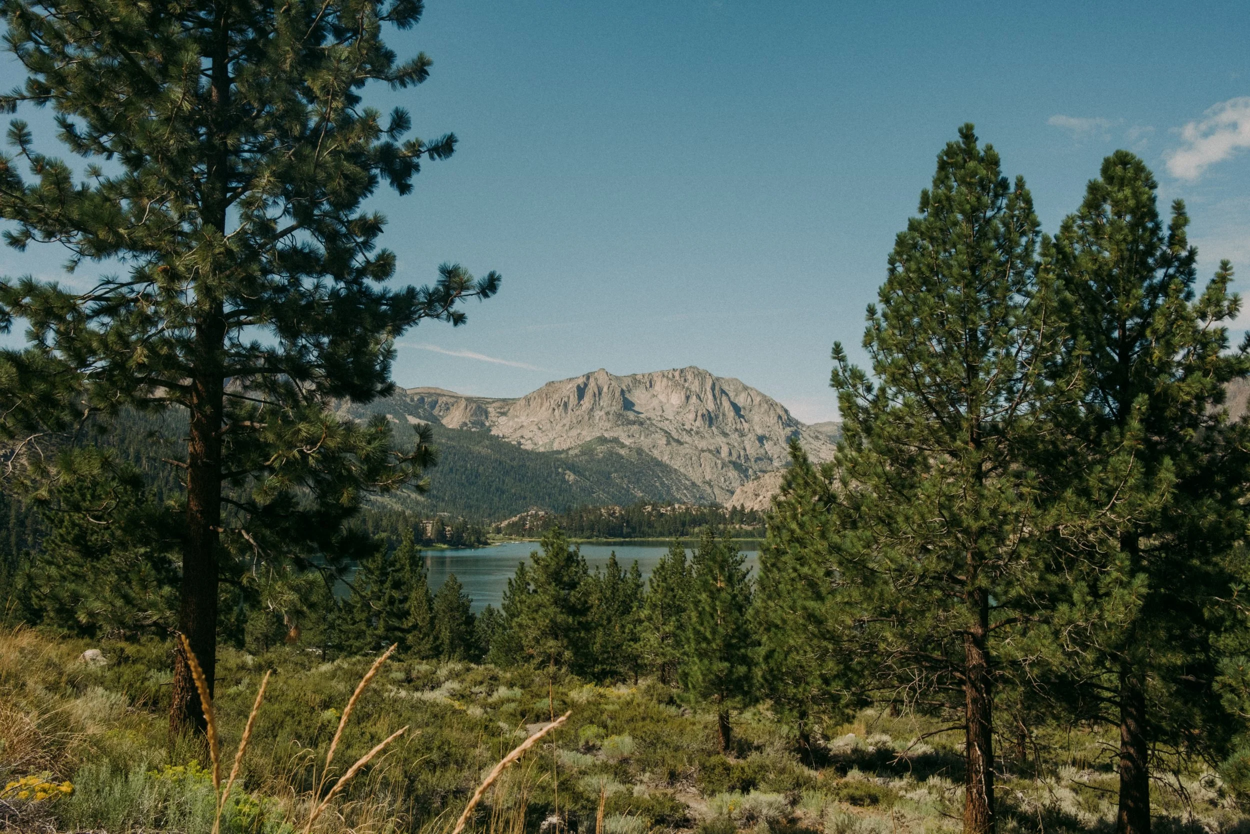 260818_ROADTRIP_ANAIS_0078.jpg