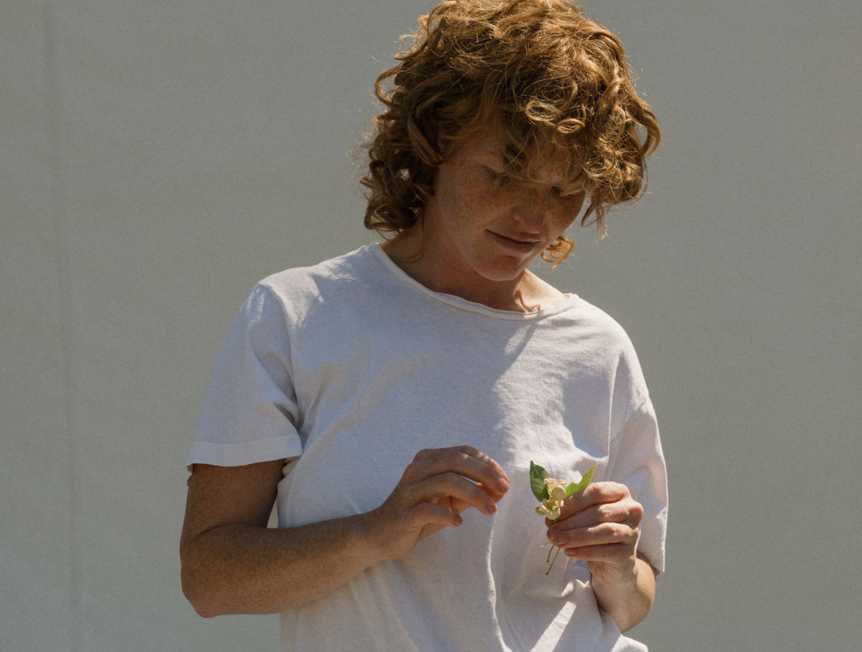 General Store - Spring