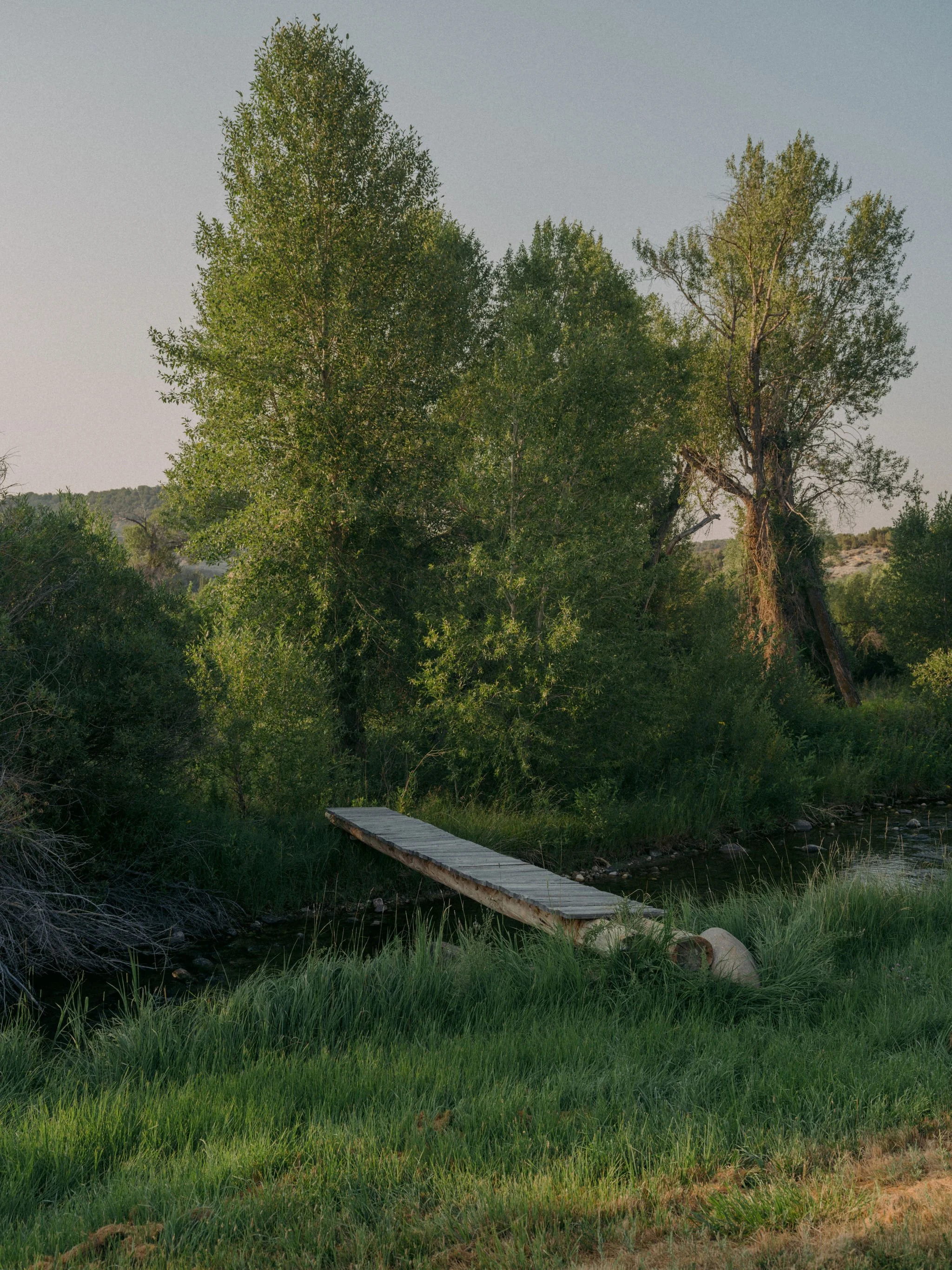 260805_RANCHLANDS_2065.jpg