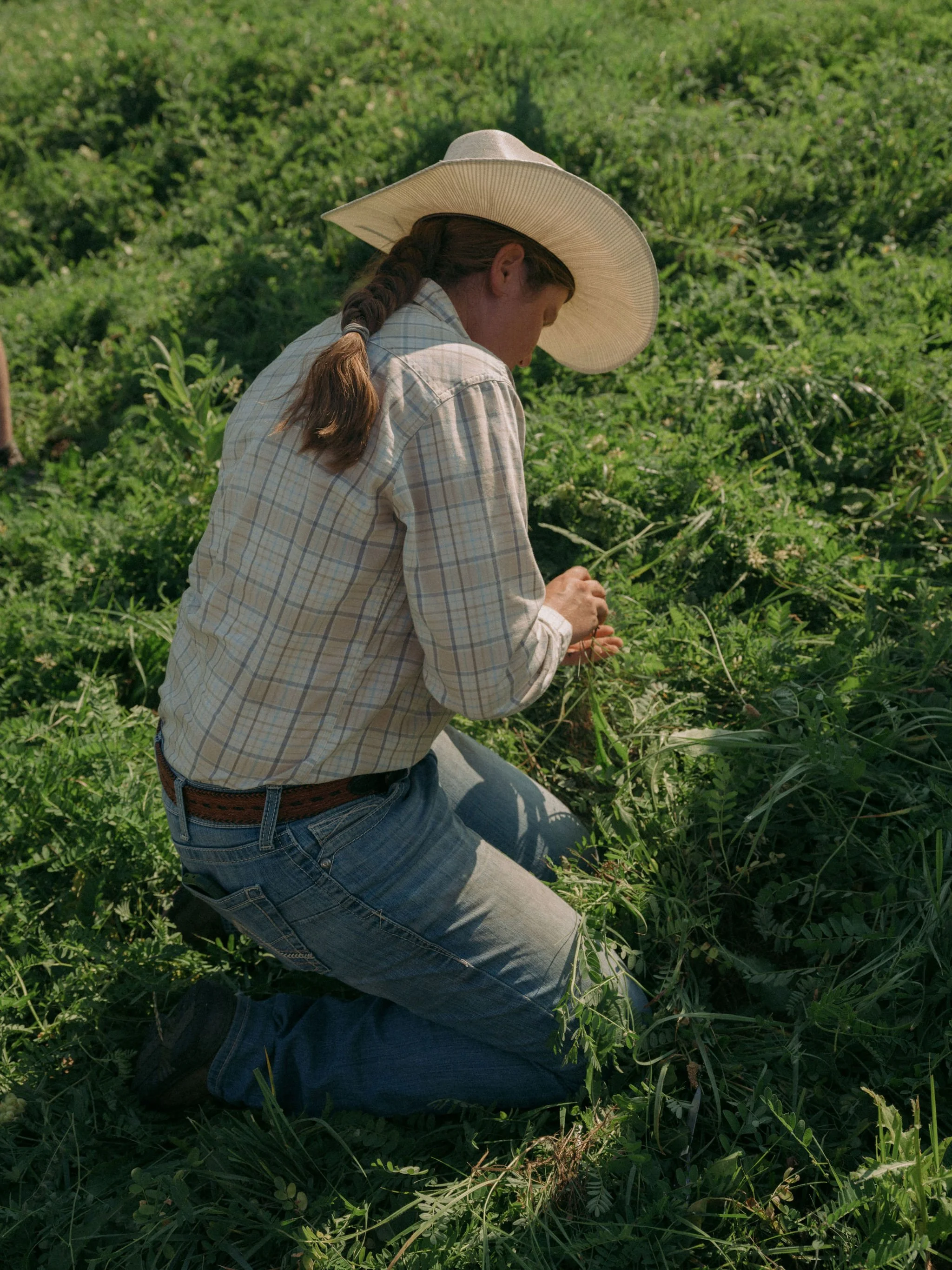 260801_RANCHLANDS_0329.jpg