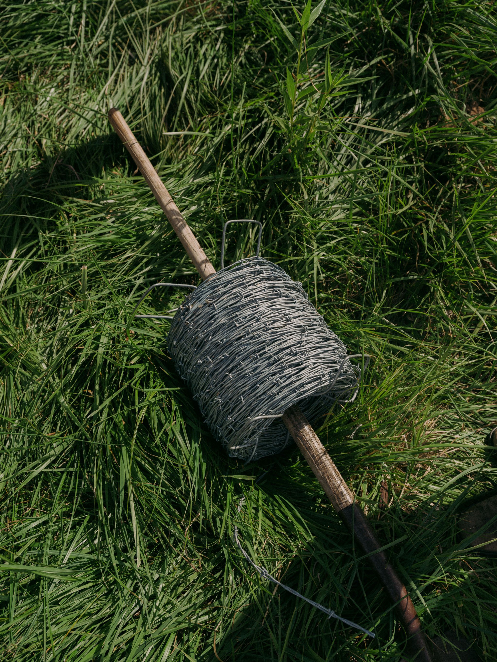 260802_RANCHLANDS_1116.jpg