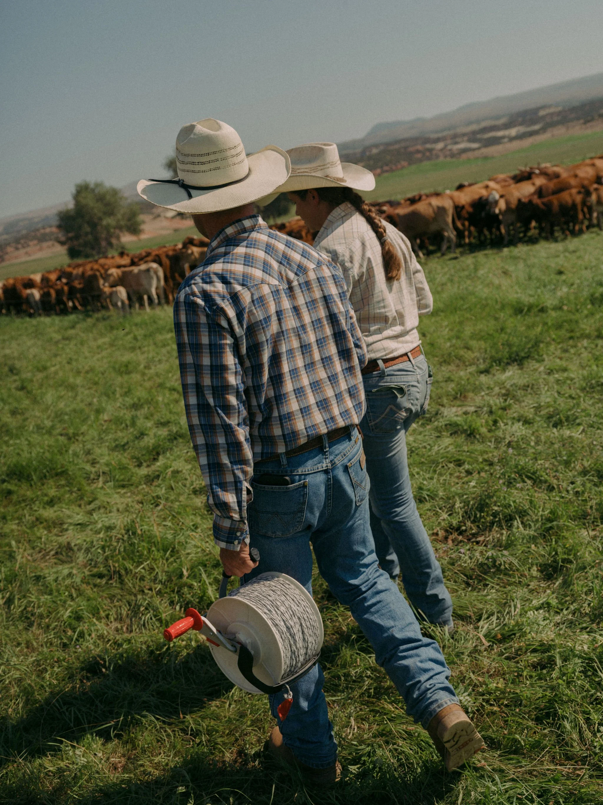 260801_RANCHLANDS_0463.jpg