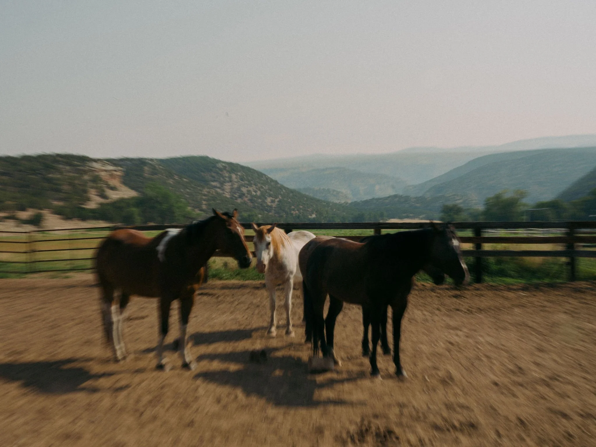 260804_RANCHLANDS_1680.jpg