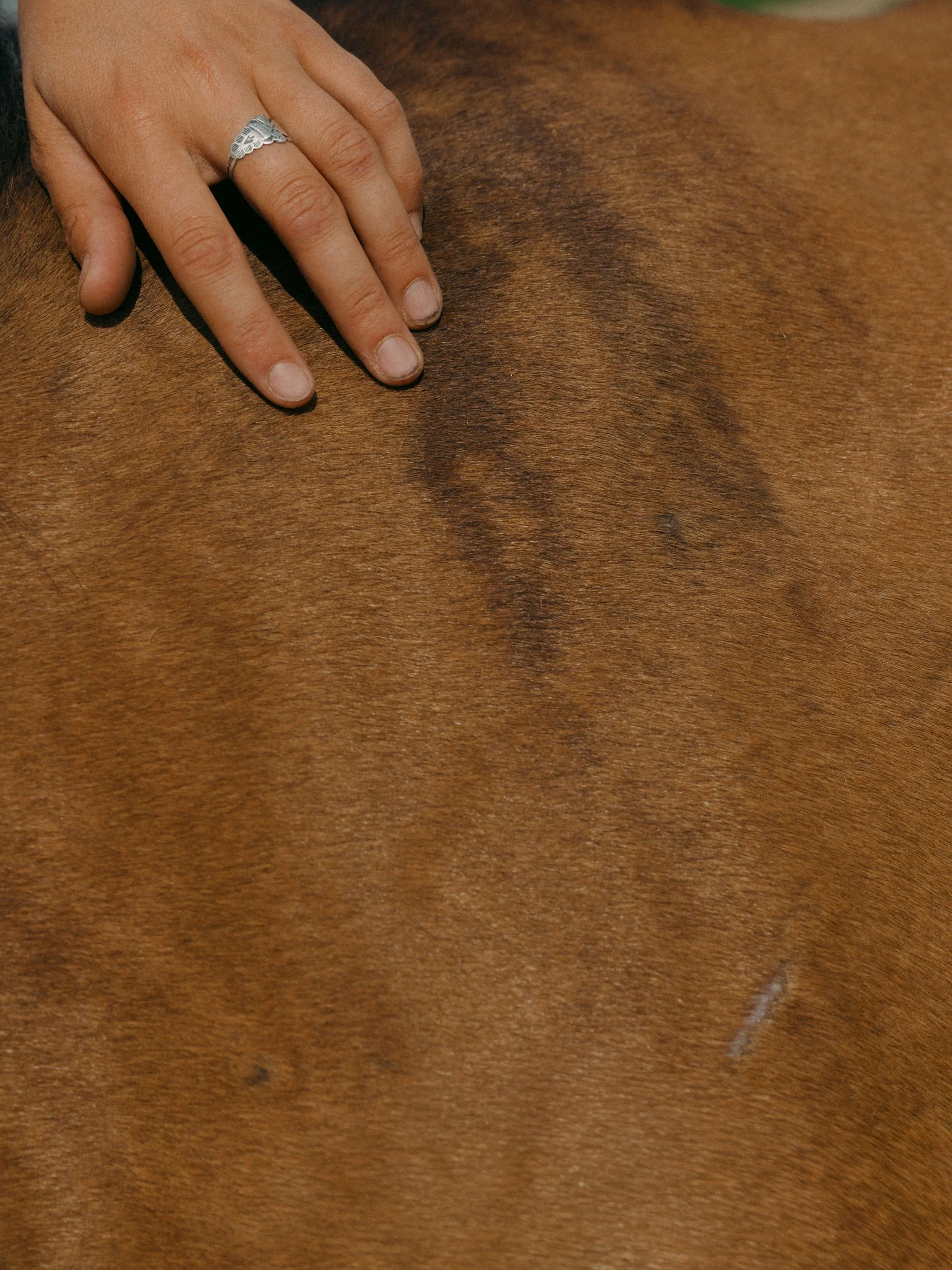 260804_RANCHLANDS_1687.jpg