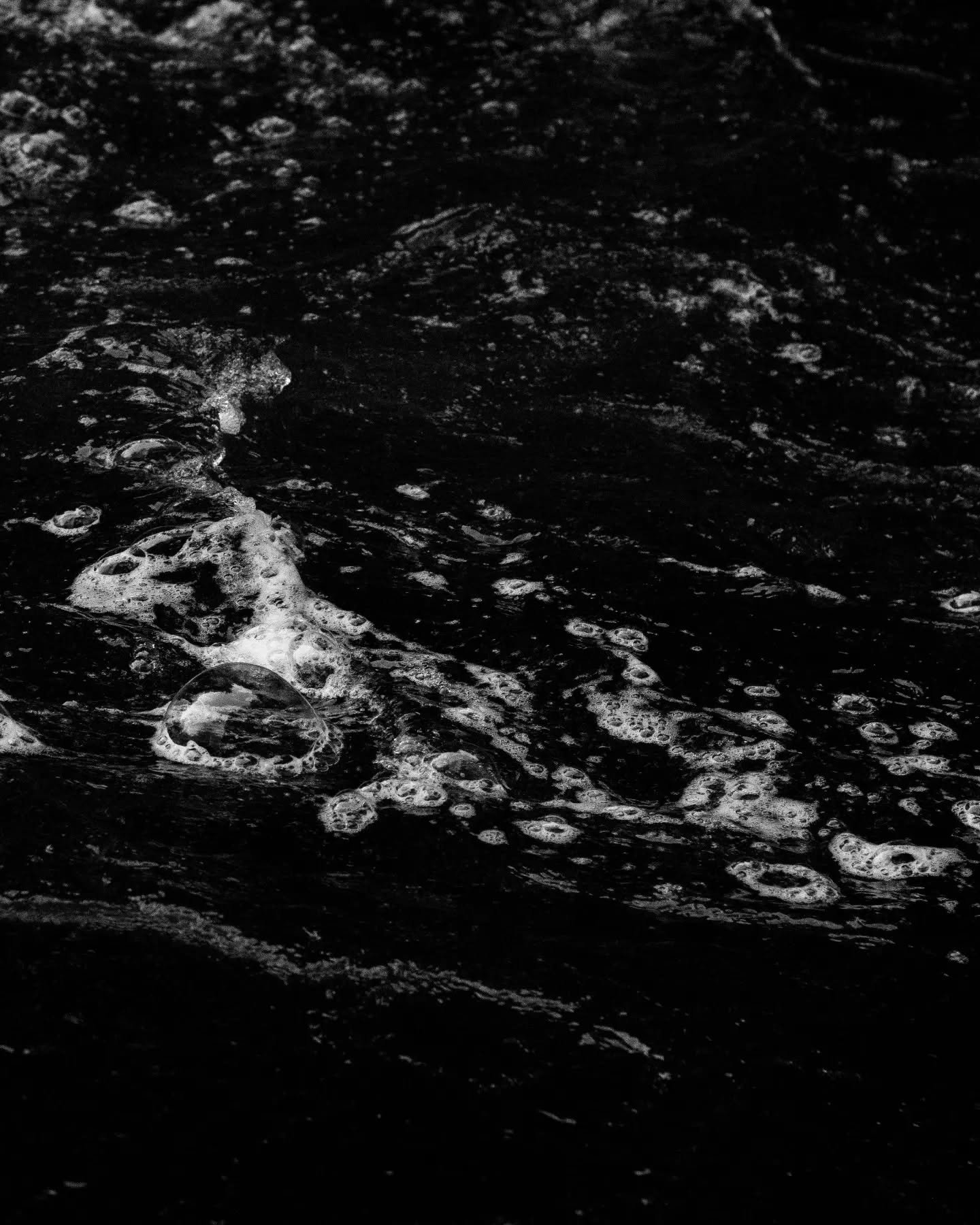 Blackened filth washed away. What's left behind is the darkened state to which it has made our skin. Nothing can be done to remove this malady. No remedy for your sacrilege. Punishment and woe await your flowering.
