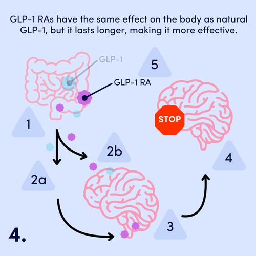 what foods should you avoid while taking glp 1 This JAMA patient page covers #GLP1 weight-loss medications, focusing on  food craving reduction, blood glucose control, dietary strategies, exercise  for muscle retention, and lifestyle changes to prevent weight regain.  https://ja.ma/40ggKrV