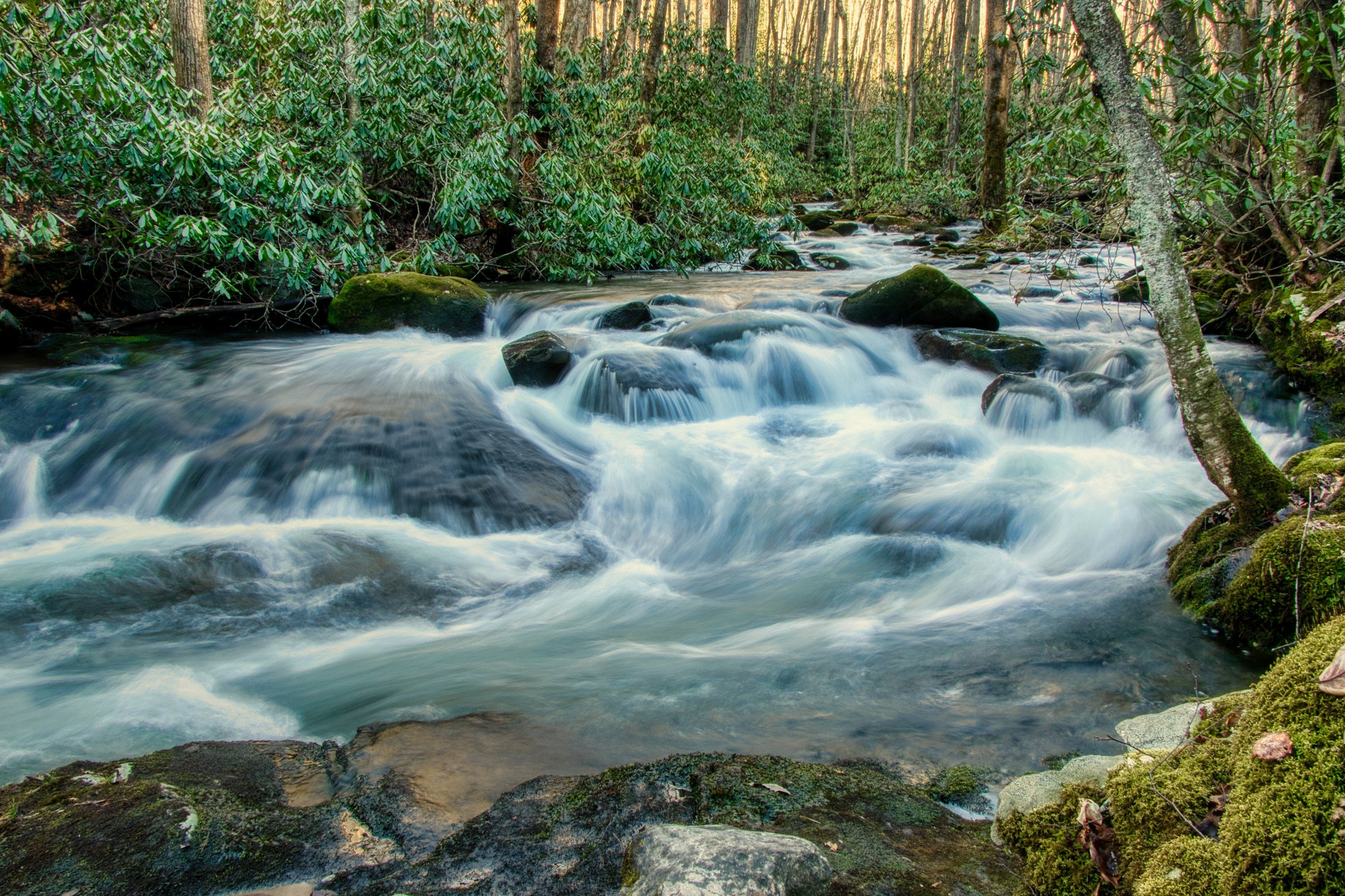 This image show water running over rocks in a stream. This is the metaphor for the breath the author mentions in the blog post.