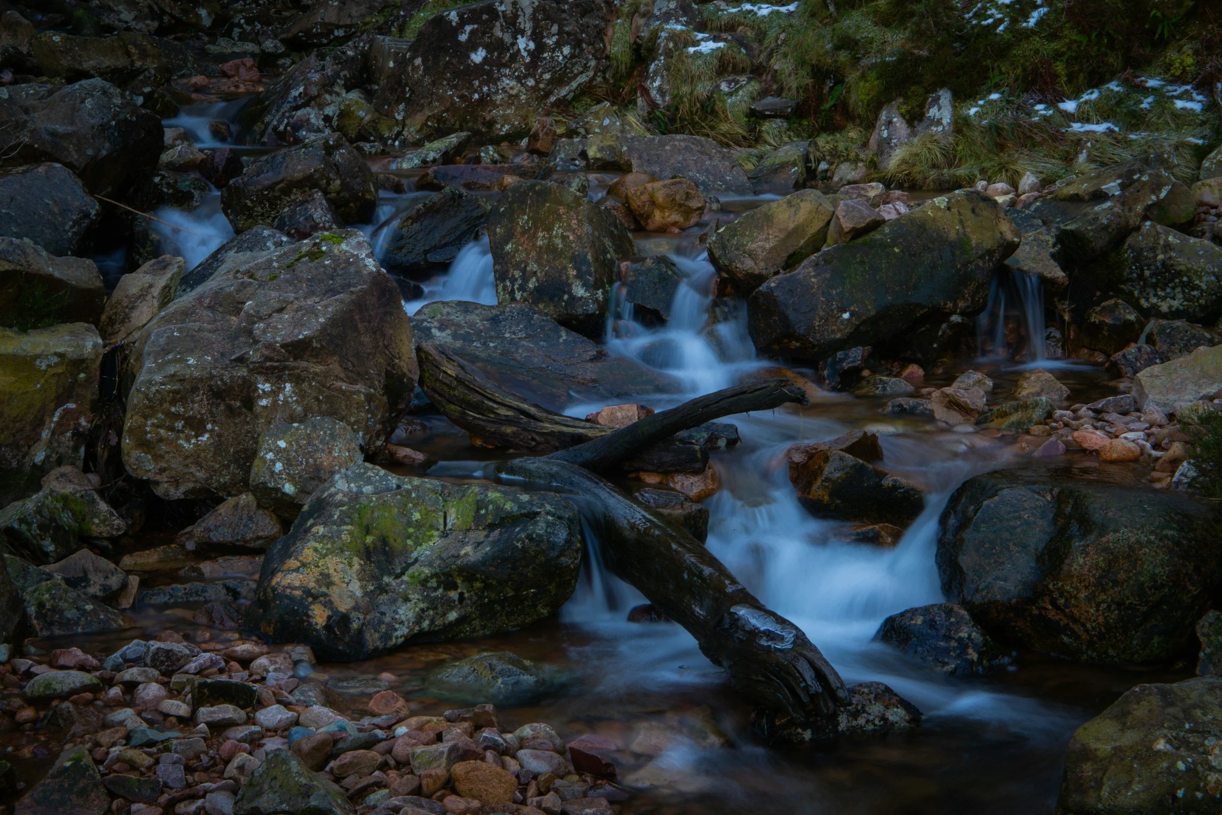 Working at the Edge: A Somatic Approach to Trauma