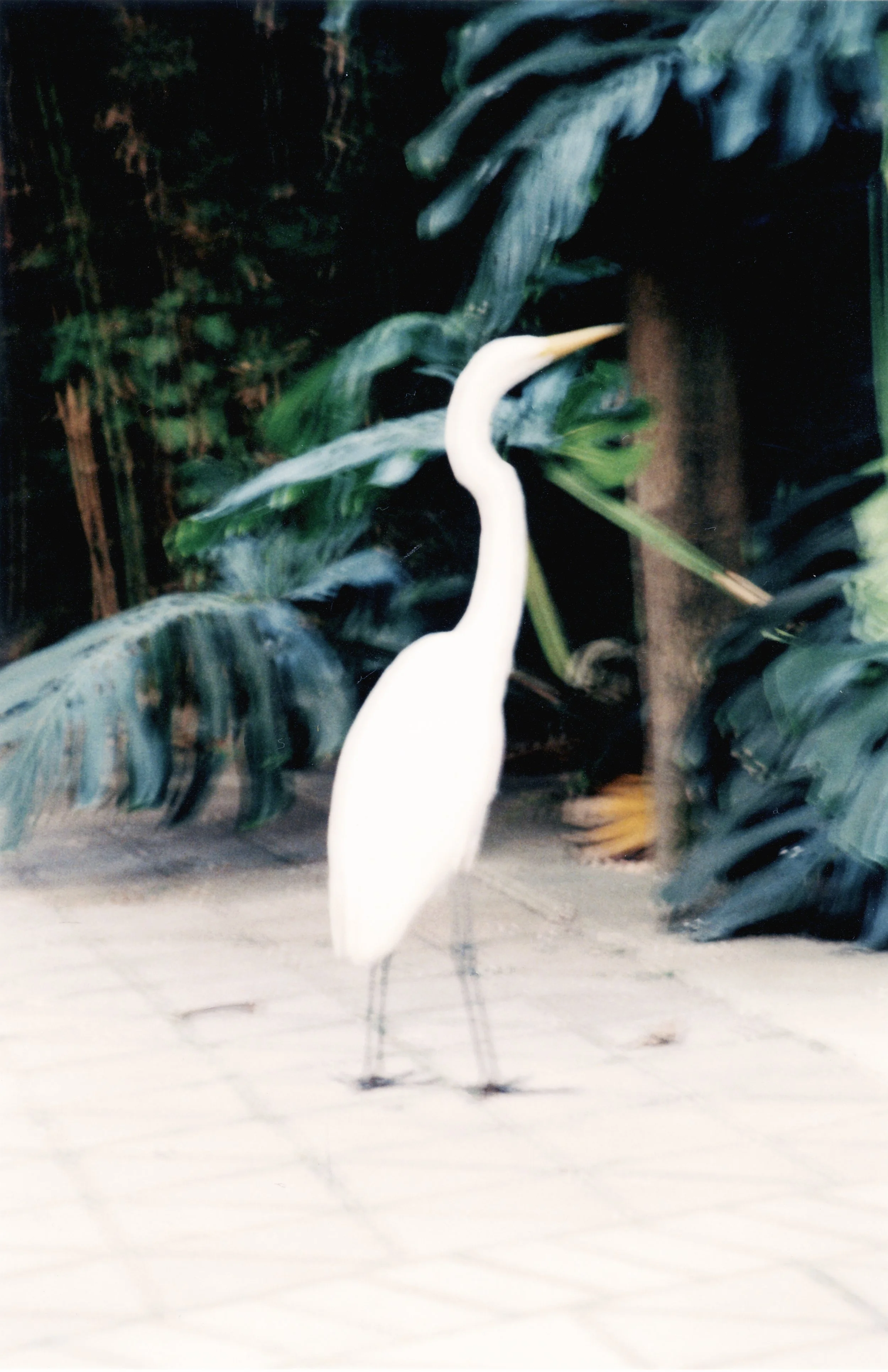 COLOMBIA_SCANS_0013 copy.jpg