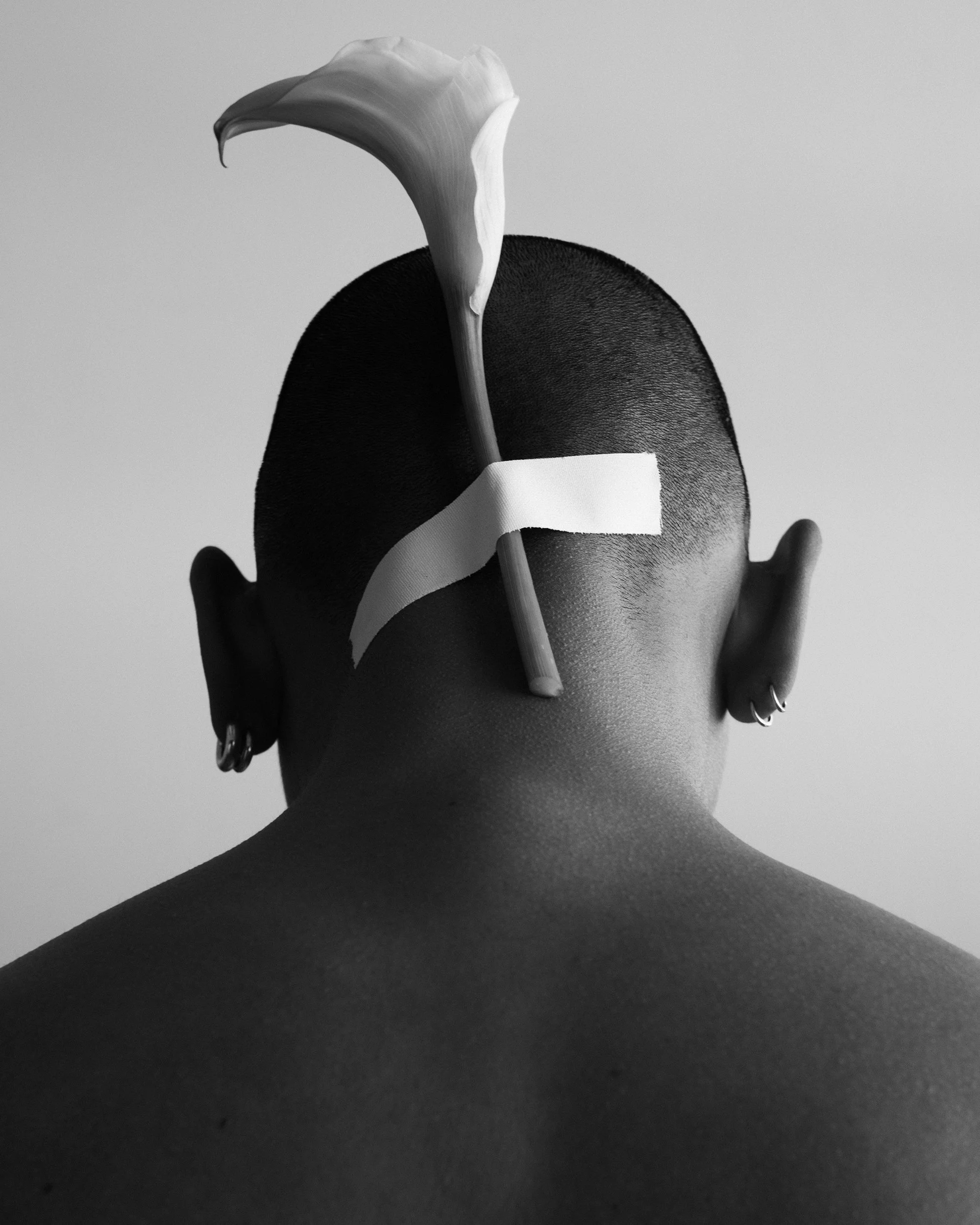 aL1160547 copy 3.jpg