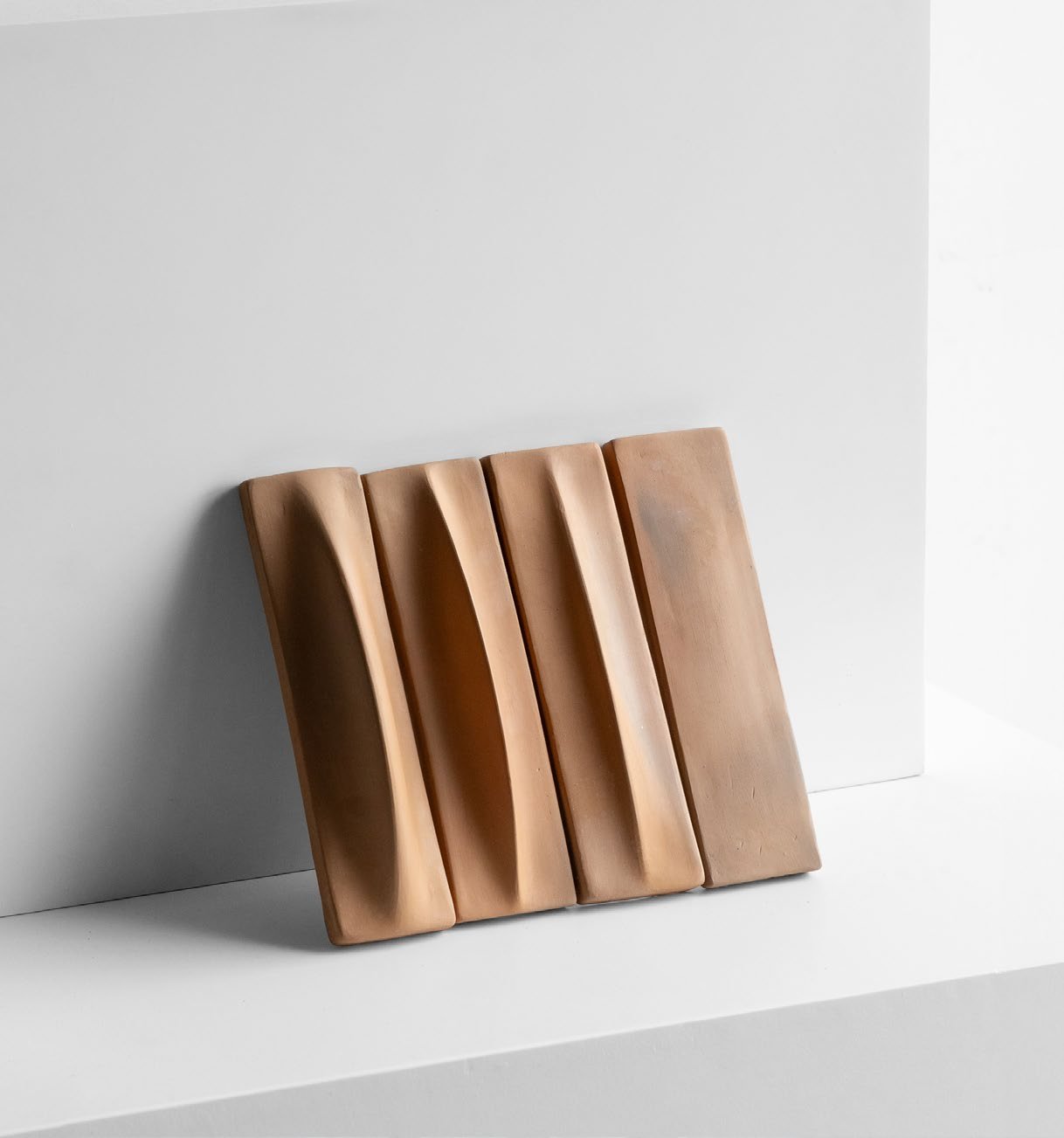 Paramo _ Grandes Nature.jpeg