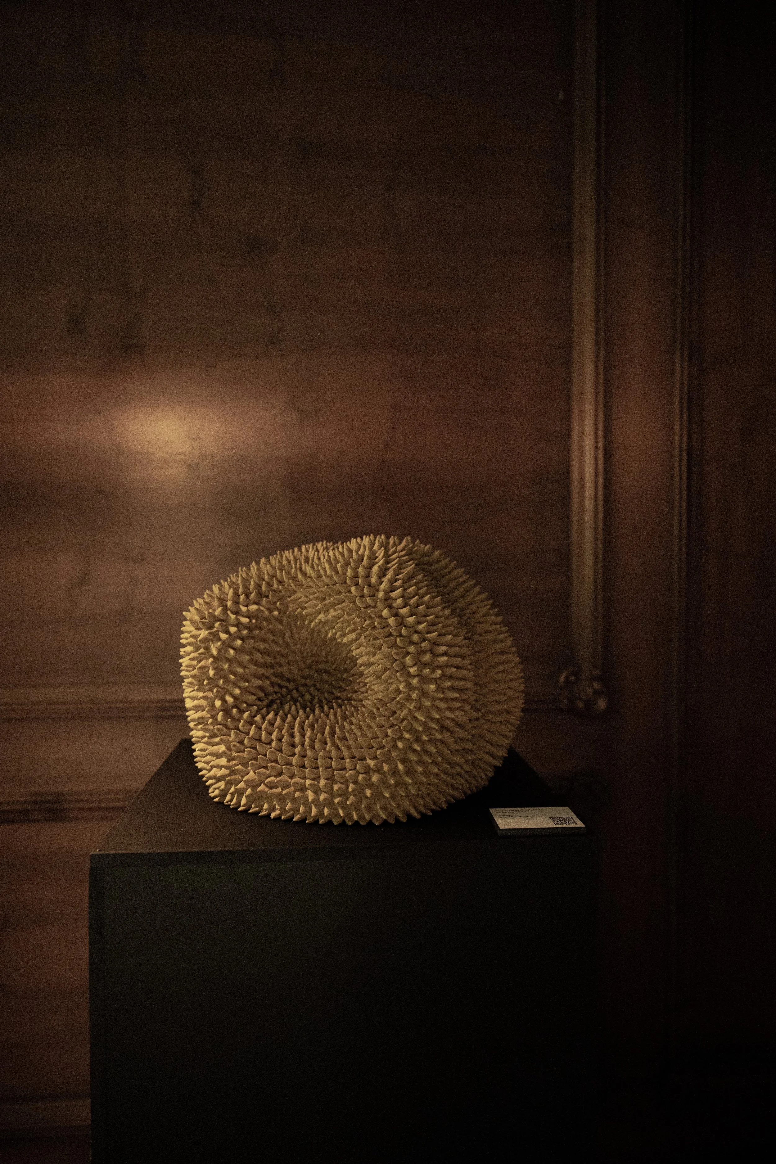 Basalto-DT22_echoes©Ekaterina Fussinger 14.jpg