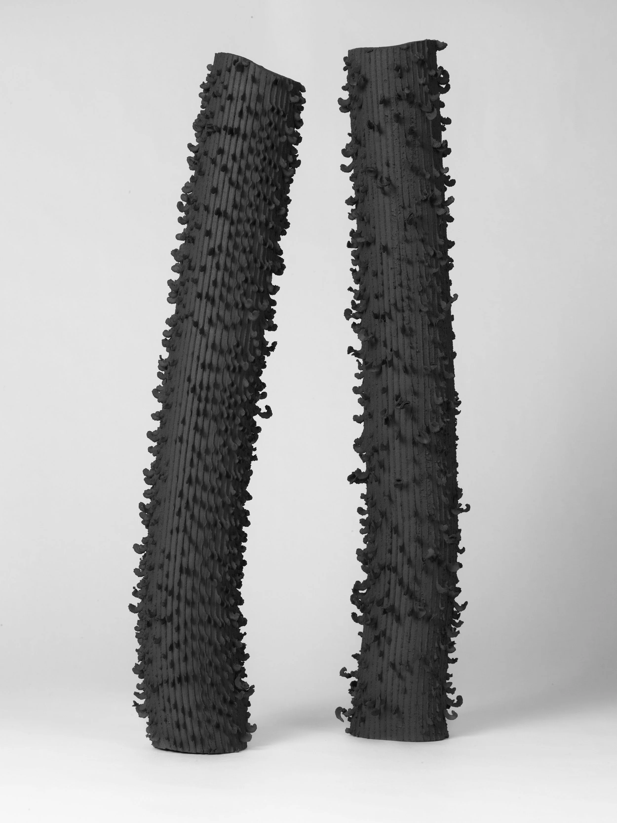 Ramona Gschwend, Various Press.jpeg