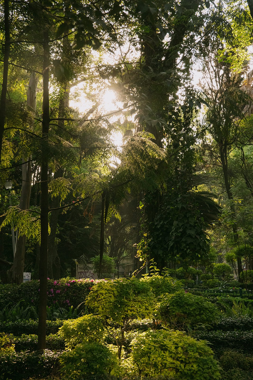 CDMX Biite_Catherine Dzilenski__cathdiz-9801.jpg