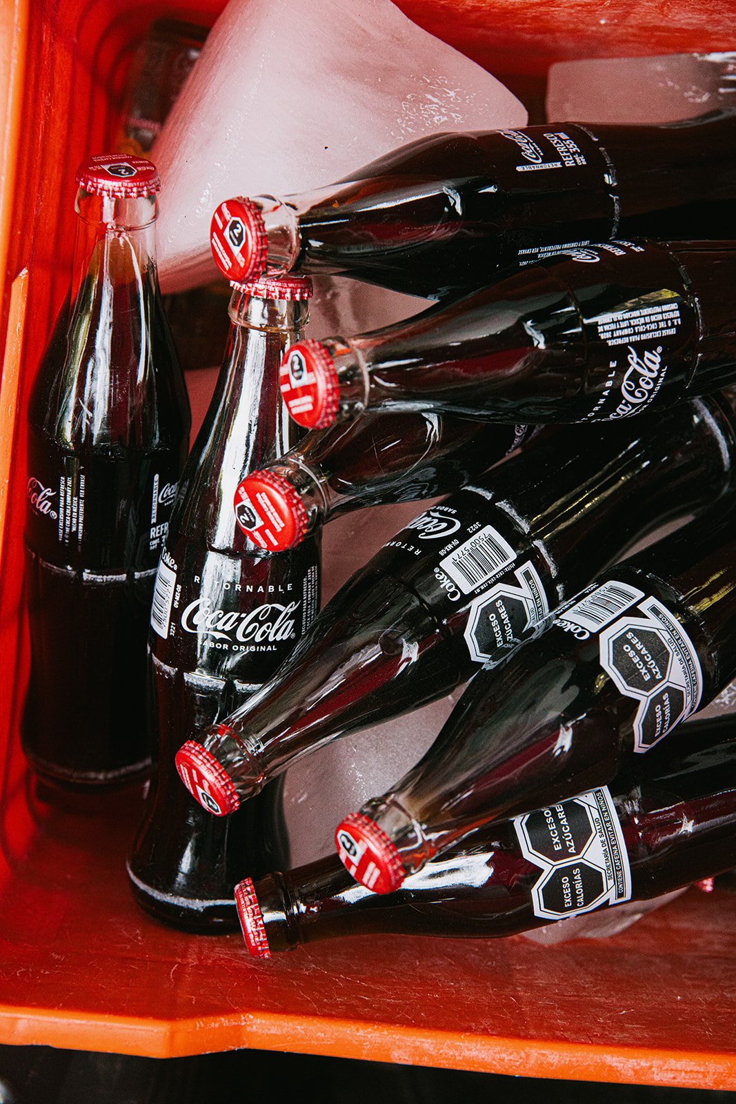 CDMX Biite_Catherine Dzilenski__cathdiz-0597.jpg