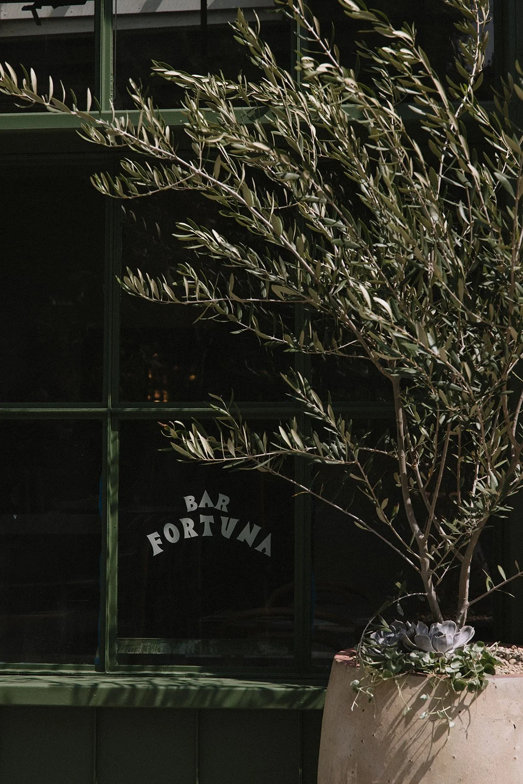 Bar Fortuna_Catherine Dzilenski__cathdiz-0350.jpg