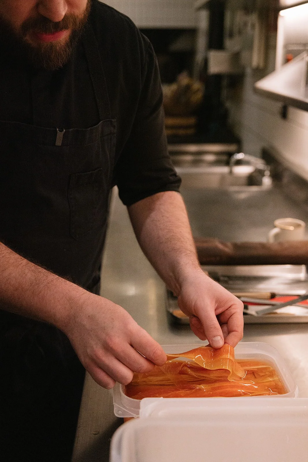 CDMX Biite_Catherine Dzilenski__cathdiz-2822.jpg