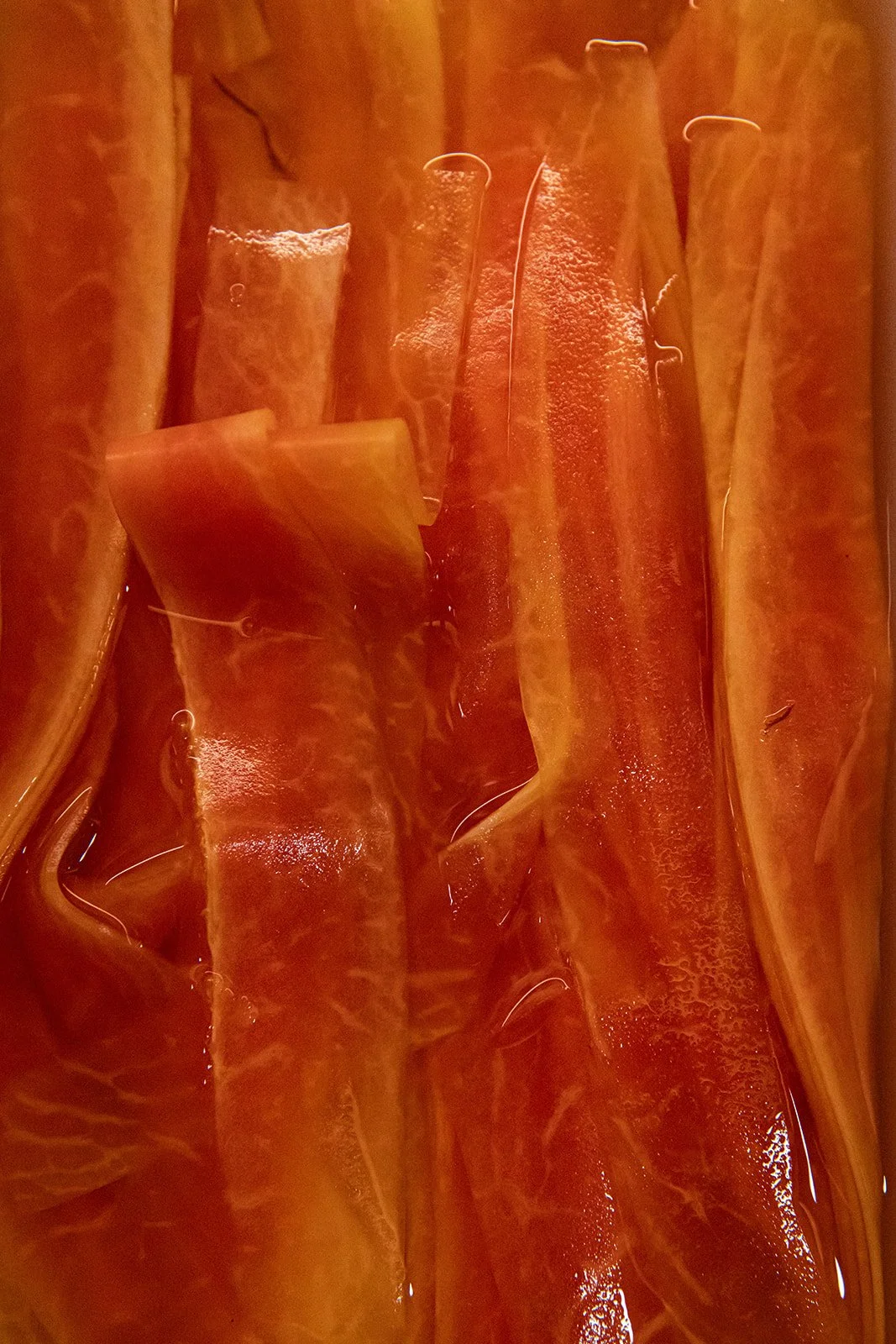 CDMX Biite_Catherine Dzilenski__cathdiz-2910.jpg