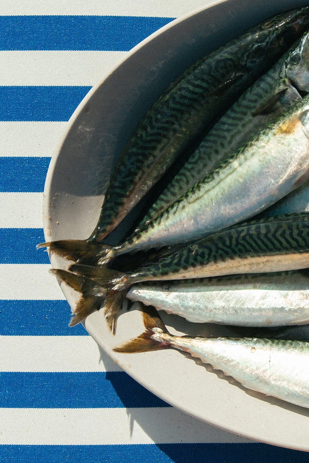 Crudo_Beach_Catherine_Dzilenski__cathdiz-0904-2.jpg