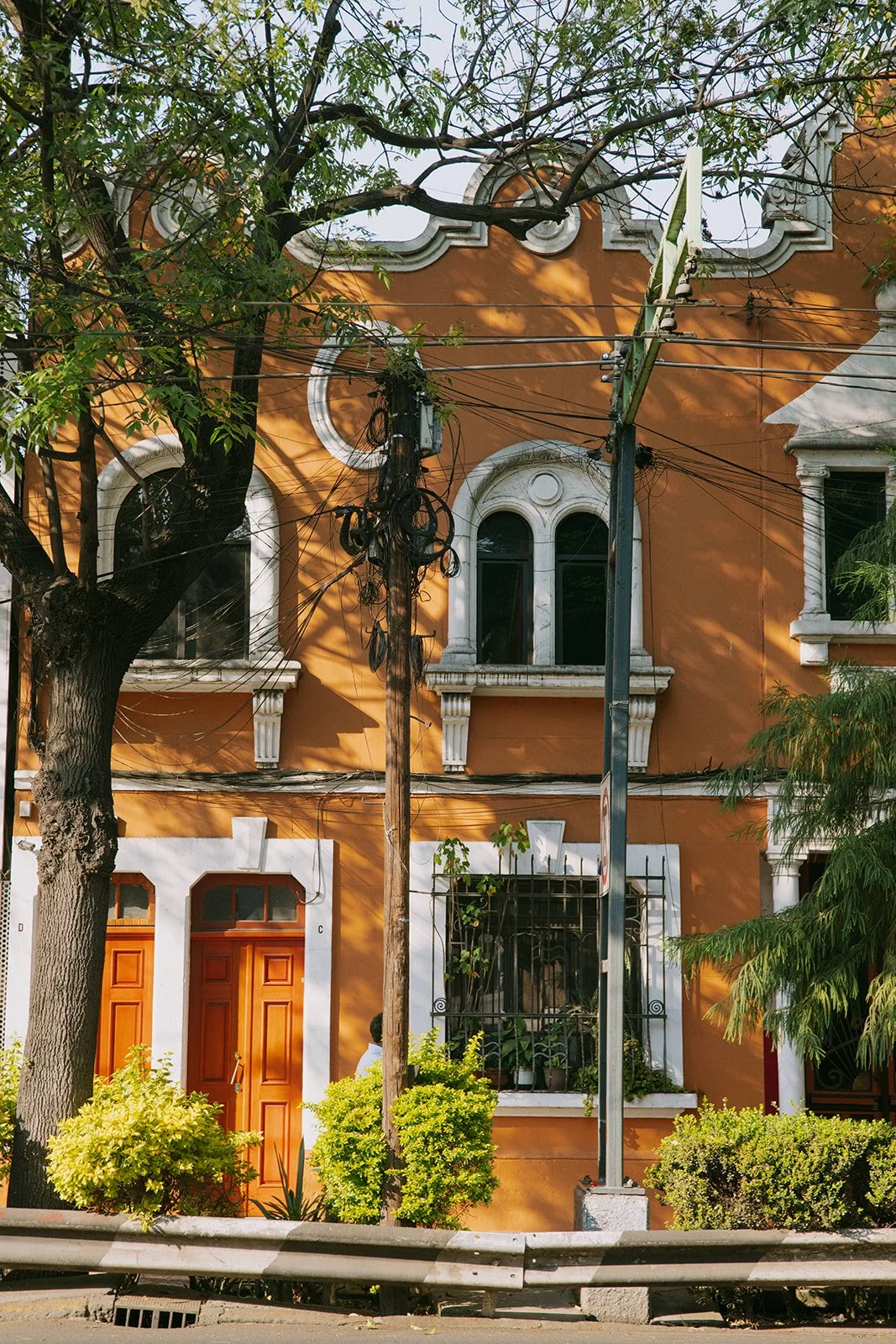 CDMX Biite_Catherine Dzilenski__cathdiz-0958.jpg