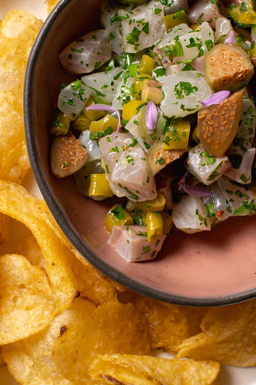 crudo_Catherine Dzilenski__cathdiz-8186-2.jpg